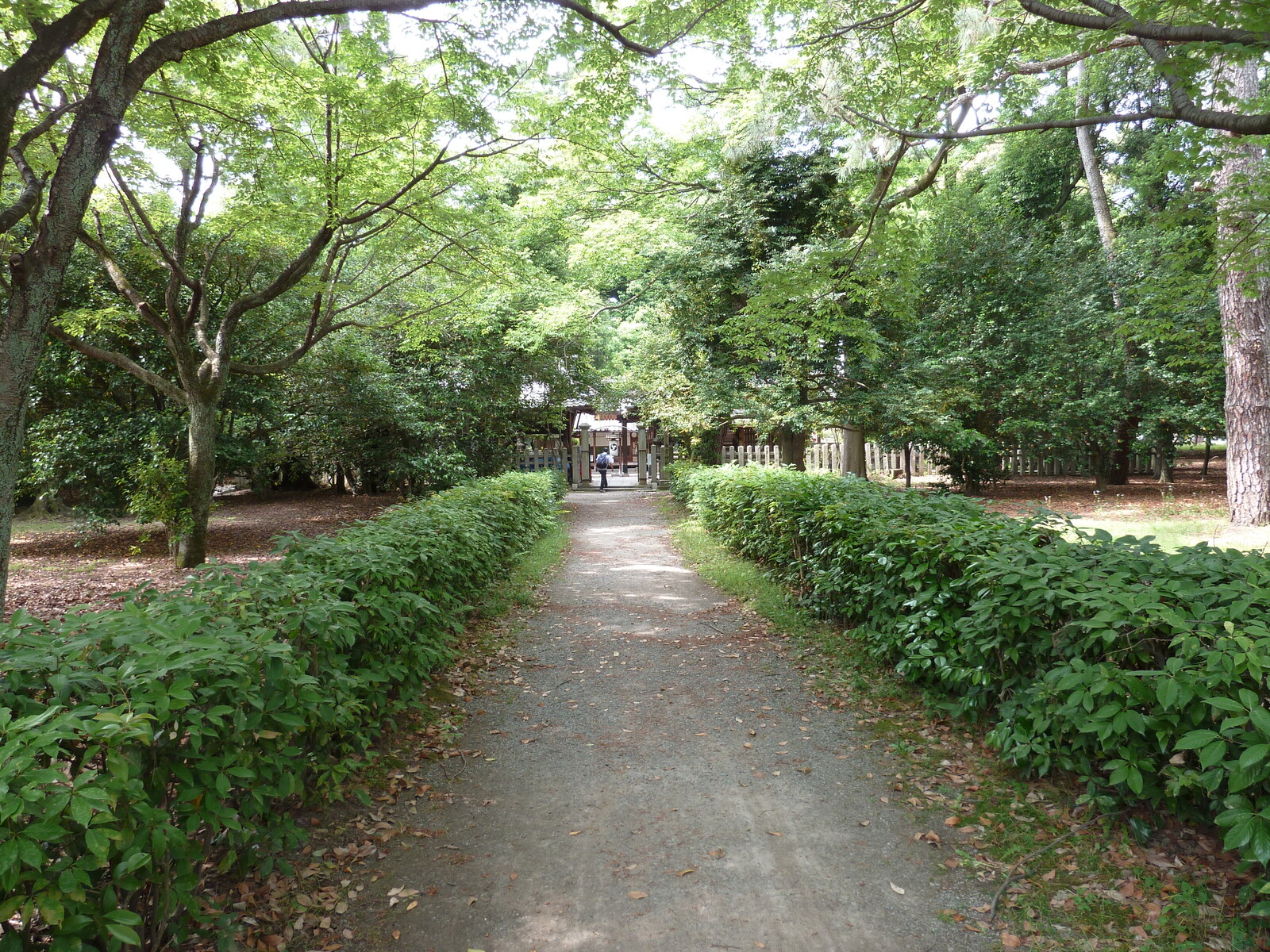 Picture Japan Kyoto Kyoto Gyoen Garden 2010-06 45 - Perspective Kyoto Gyoen Garden