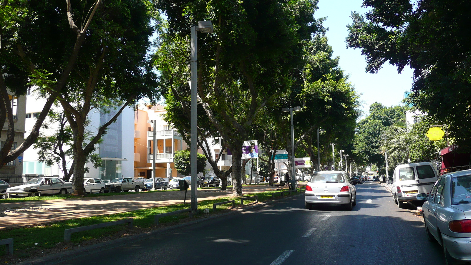 Picture Israel Tel Aviv Rothschild Street 2007-06 39 - Road Rothschild Street