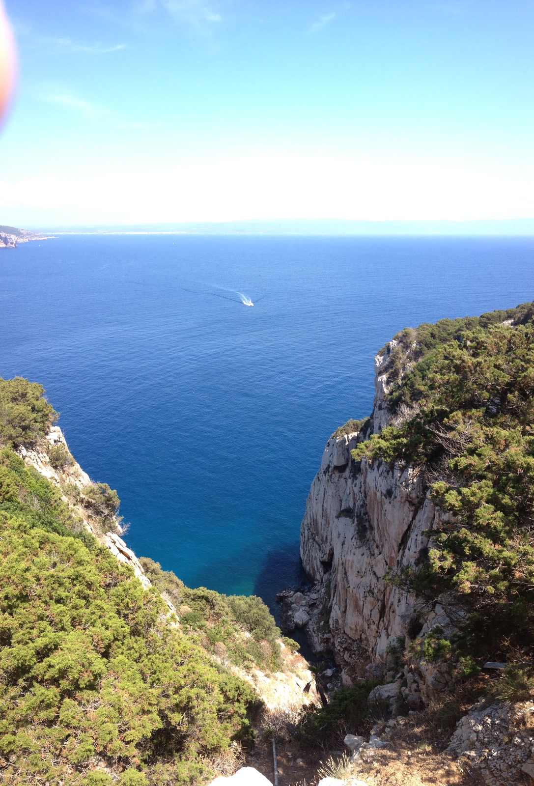 Picture Italy Sardinia Porto Conte Regional Natural Park 2015-06 37 - Flight Porto Conte Regional Natural Park