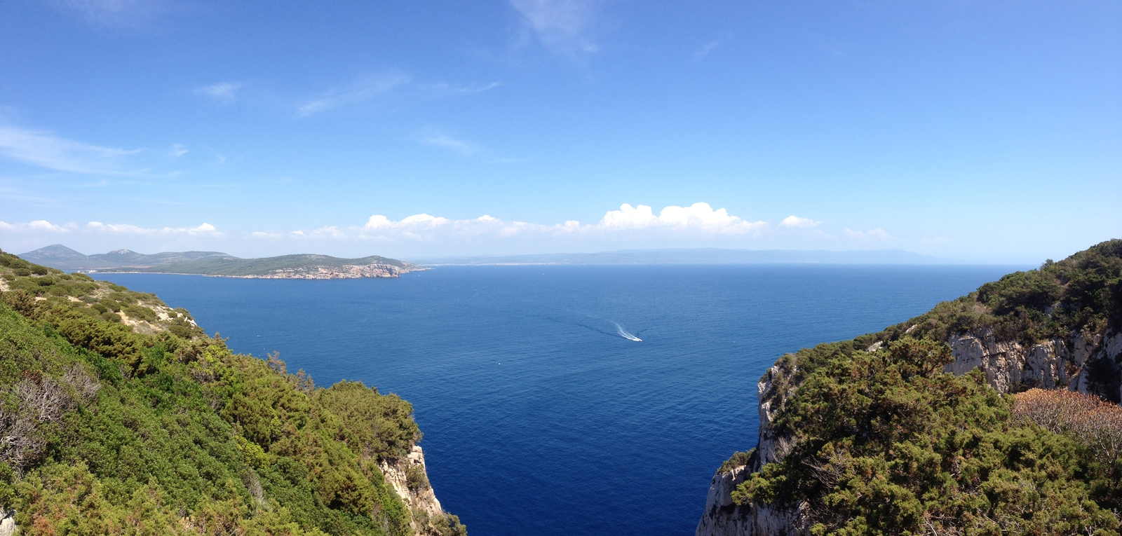 Picture Italy Sardinia Porto Conte Regional Natural Park 2015-06 43 - Store Porto Conte Regional Natural Park