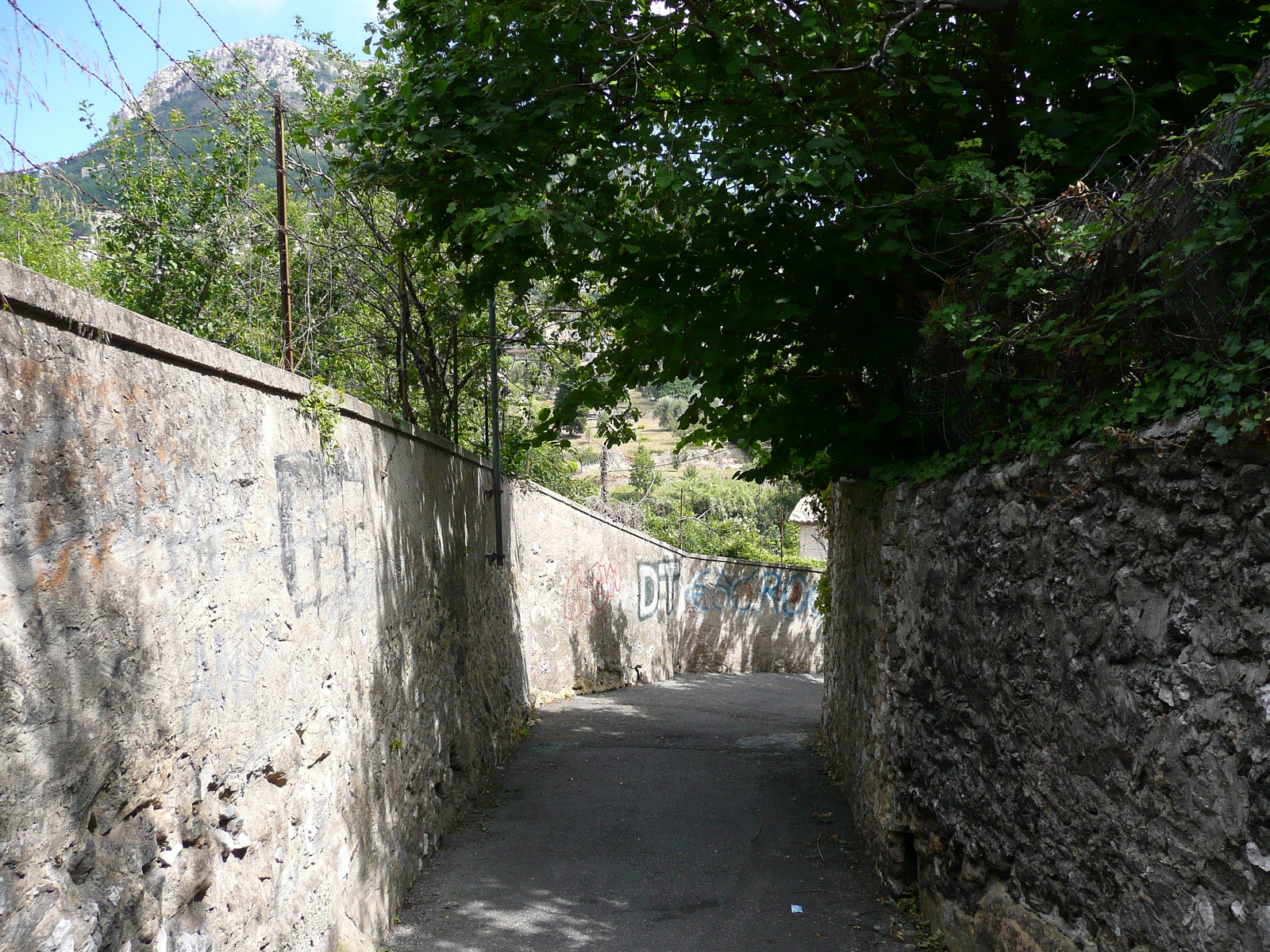 Picture France Vence Avenue H. Isnard 2007-07 12 - Journey Avenue H. Isnard