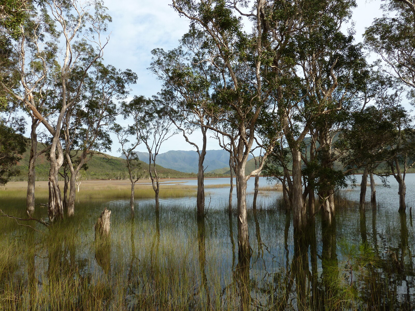 Picture New Caledonia Parc de la Riviere Bleue 2010-05 44 - Photo Parc de la Riviere Bleue