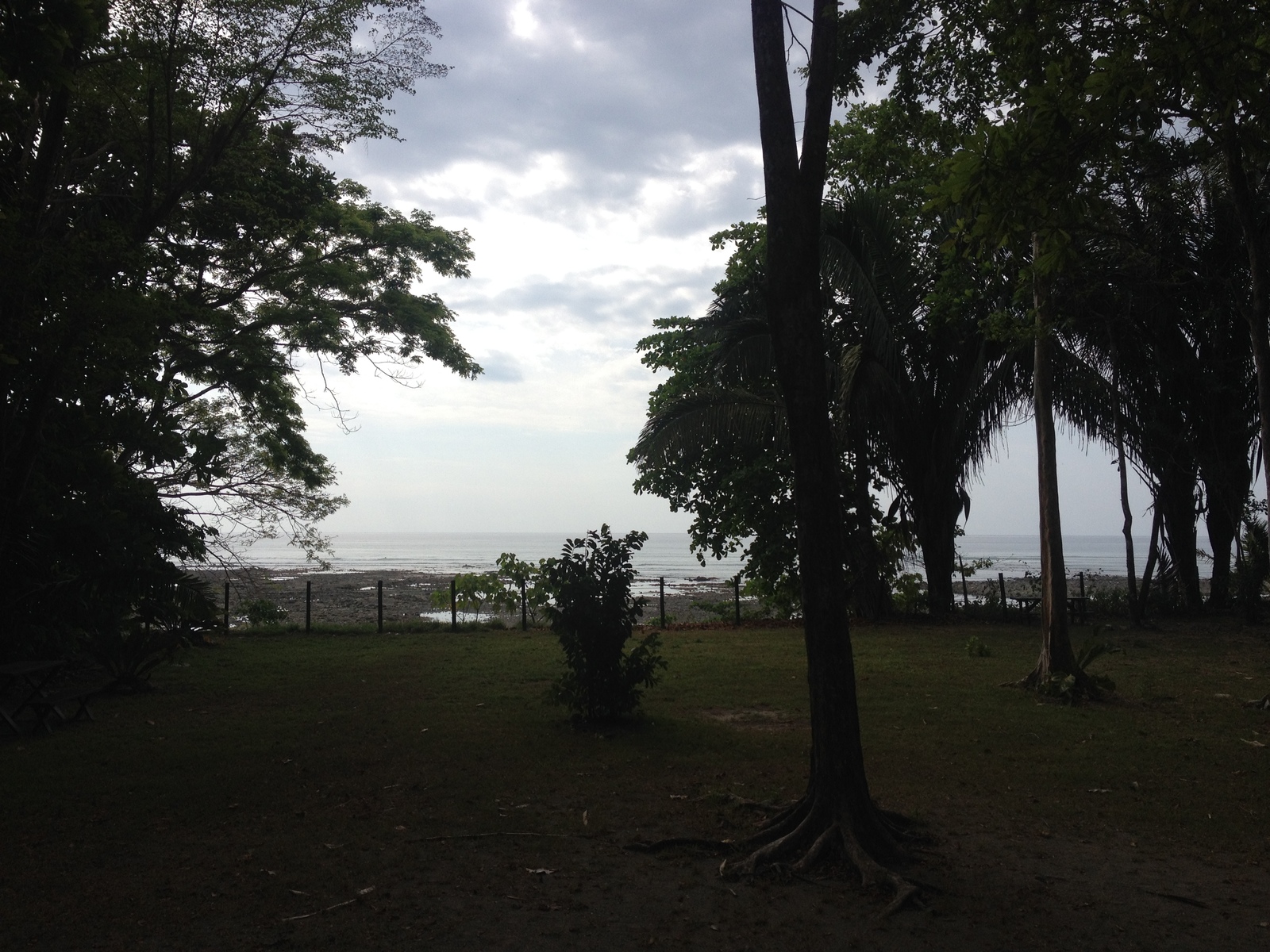 Picture Costa Rica Montezuma 2015-03 429 - Sight Montezuma