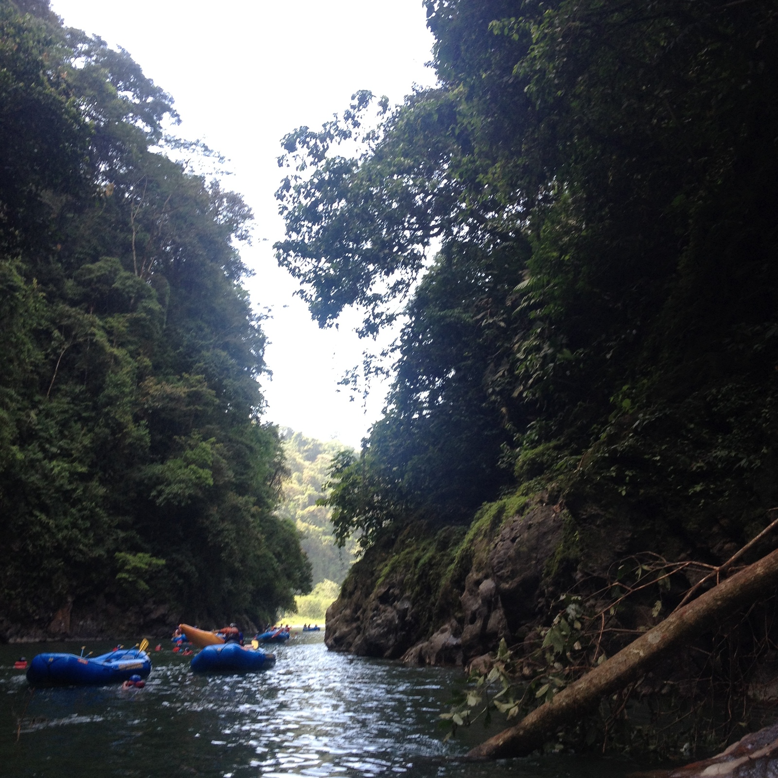 Picture Costa Rica Pacuare River 2015-03 205 - Perspective Pacuare River