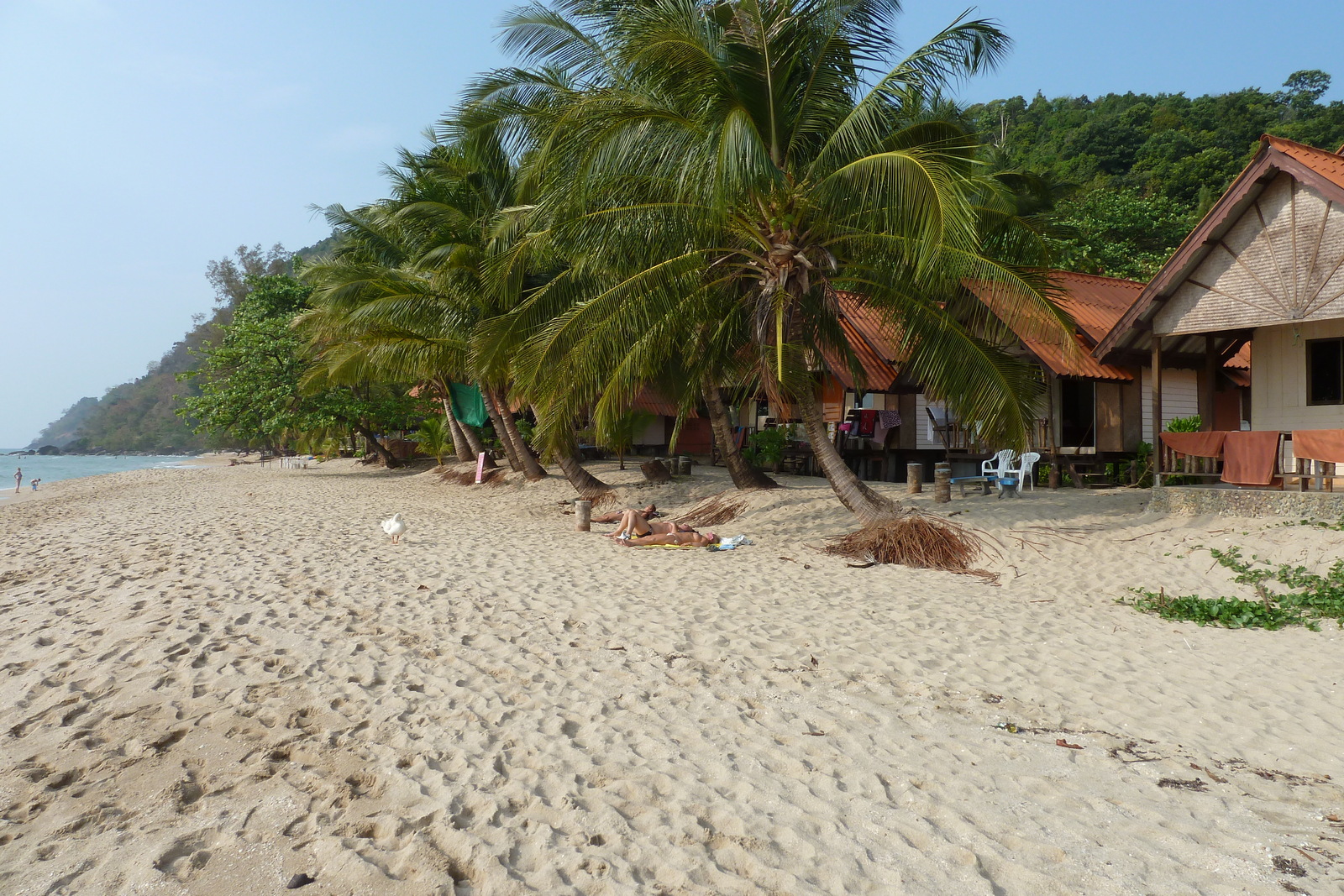 Picture Thailand Ko Chang White sand beach 2011-02 11 - Flight White sand beach