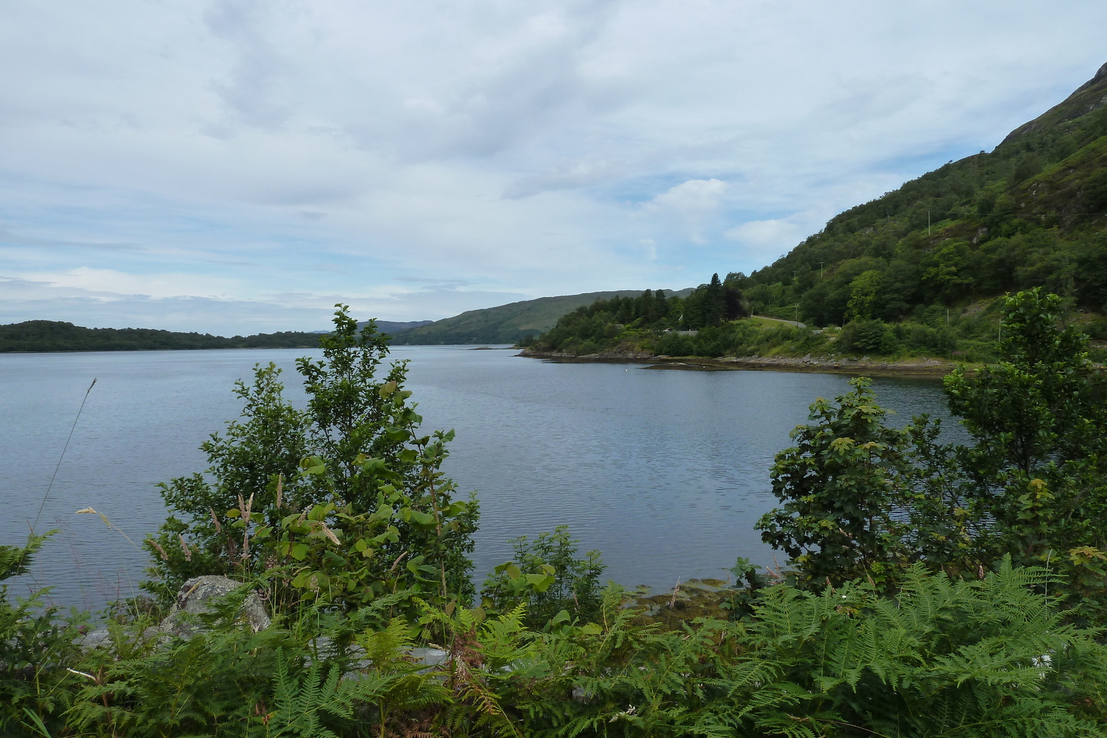 Picture United Kingdom Scotland Loch Linnhe 2011-07 73 - Photos Loch Linnhe