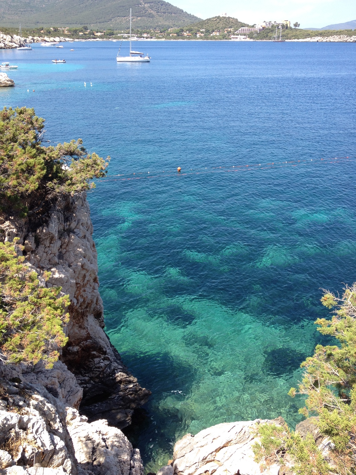 Picture Italy Sardinia Porto Conte Regional Natural Park 2015-06 4 - Pictures Porto Conte Regional Natural Park