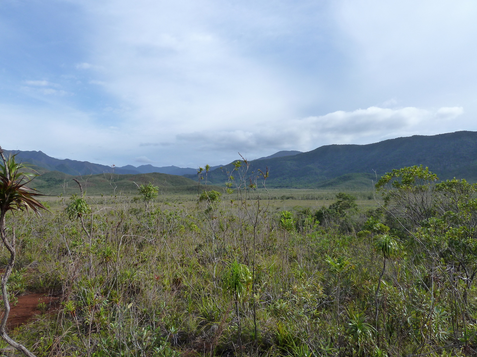 Picture New Caledonia Parc de la Riviere Bleue 2010-05 120 - Photographer Parc de la Riviere Bleue