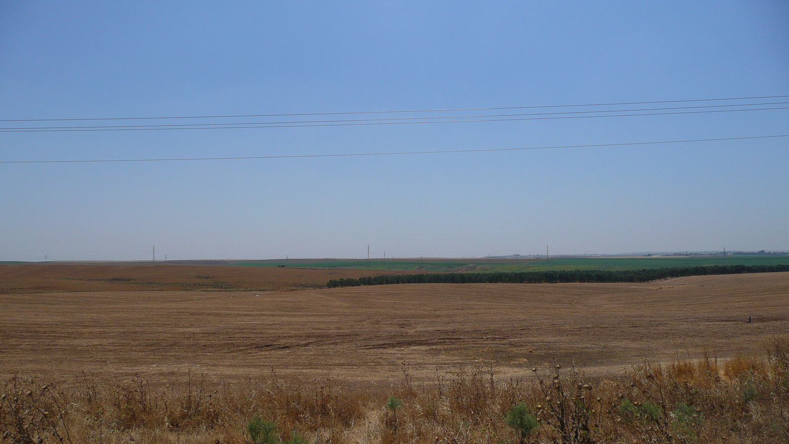 Picture Israel Ashkelon to Arad road 2007-06 41 - Car Rental Ashkelon to Arad road