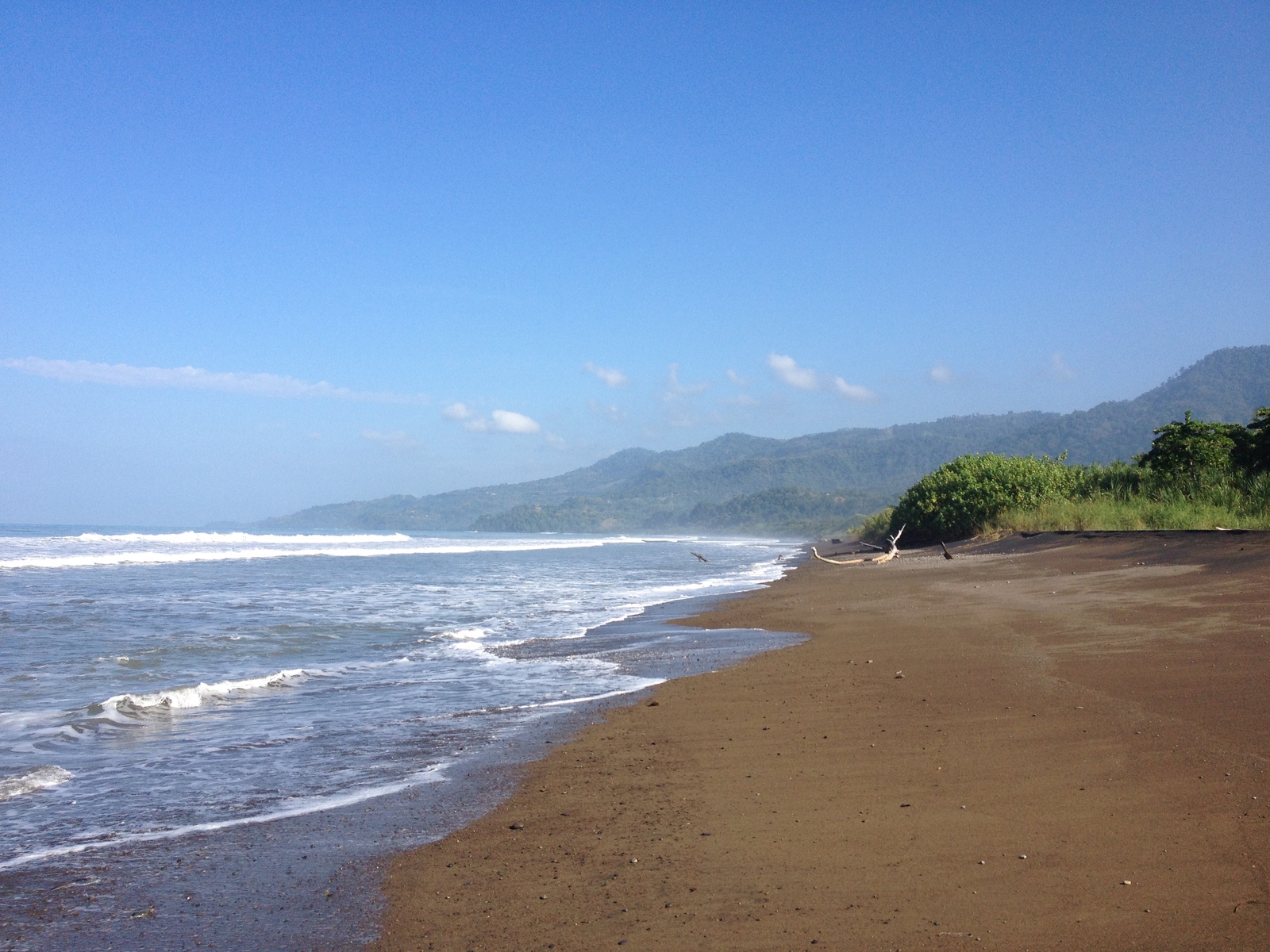 Picture Costa Rica Uvita 2015-03 92 - Sightseeing Uvita