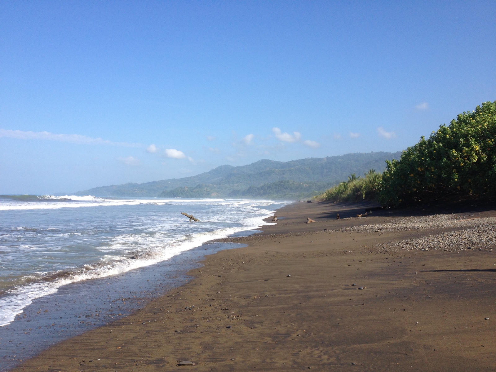 Picture Costa Rica Uvita 2015-03 94 - Picture Uvita