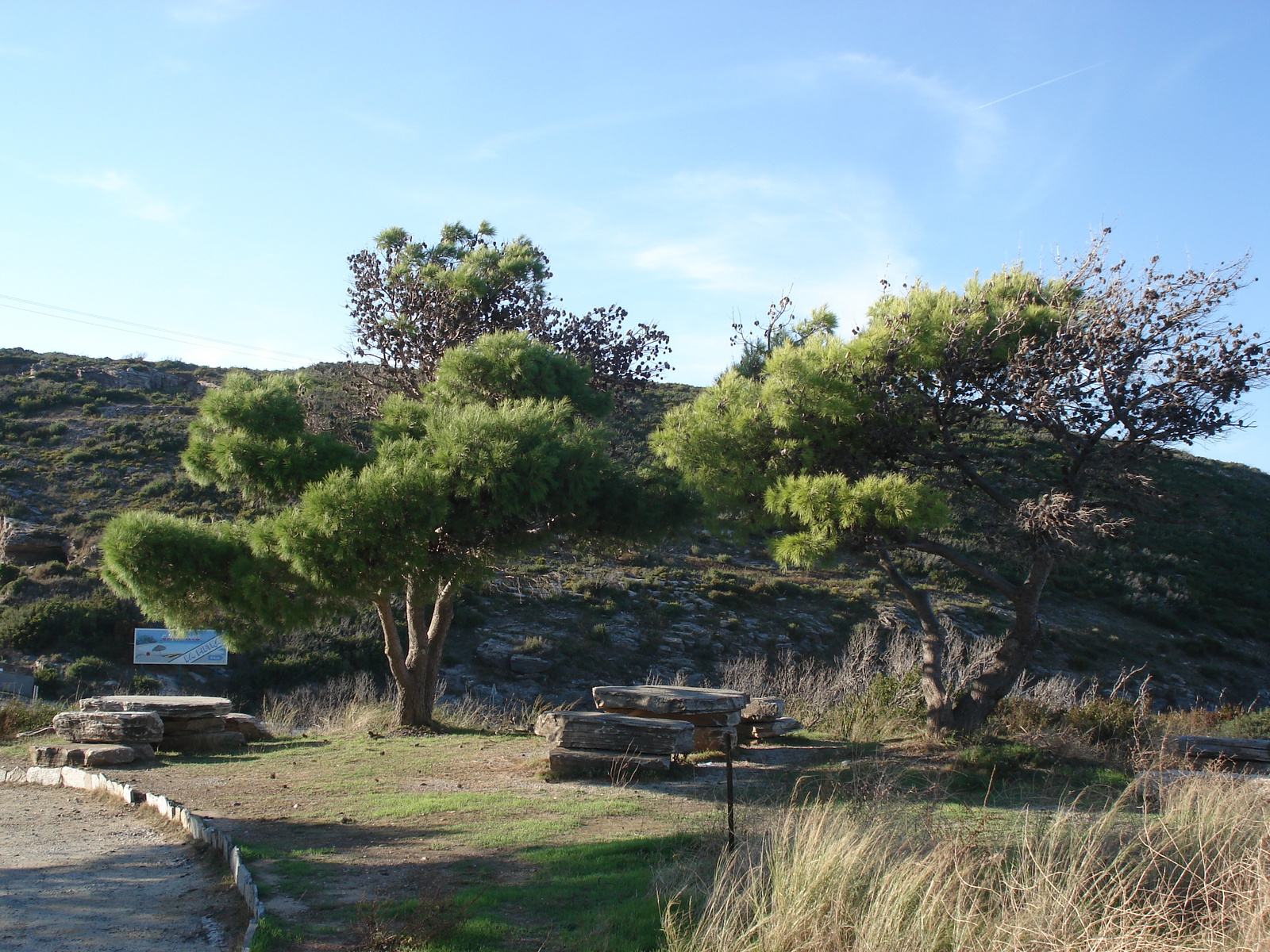 Picture France Corsica Corsican Cape 2006-09 34 - Photographer Corsican Cape