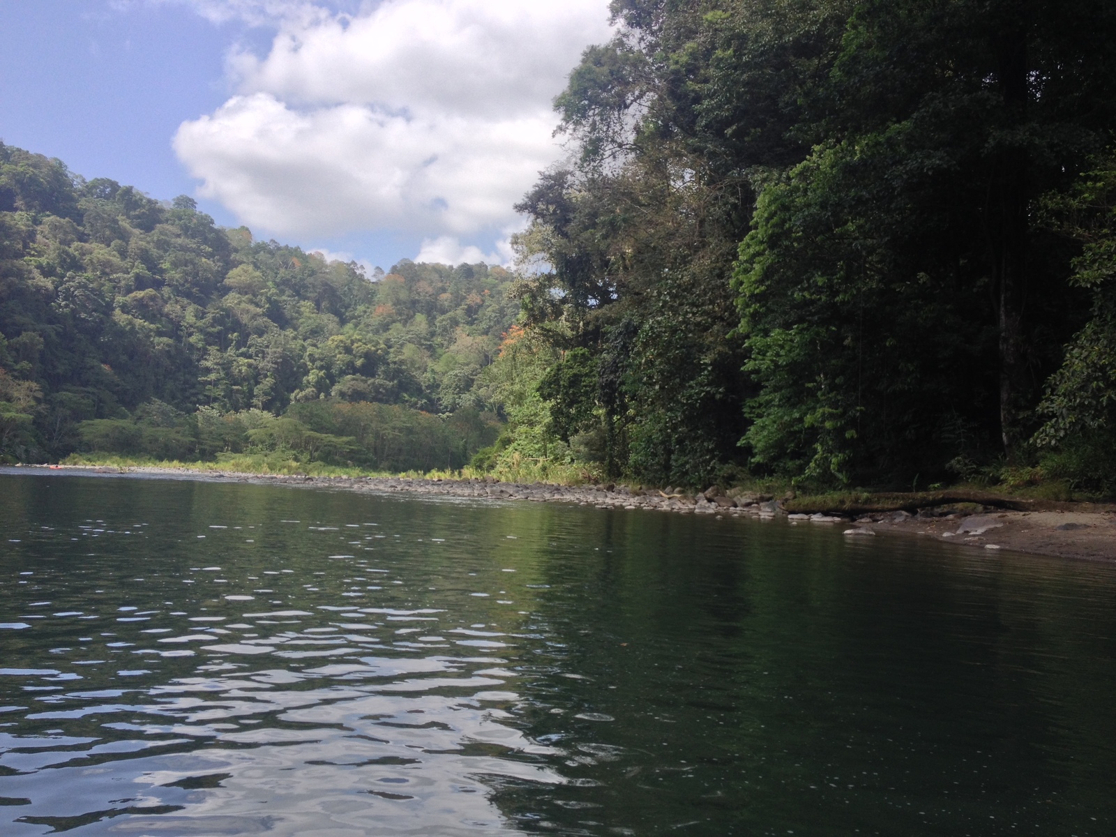 Picture Costa Rica Pacuare River 2015-03 270 - Trips Pacuare River