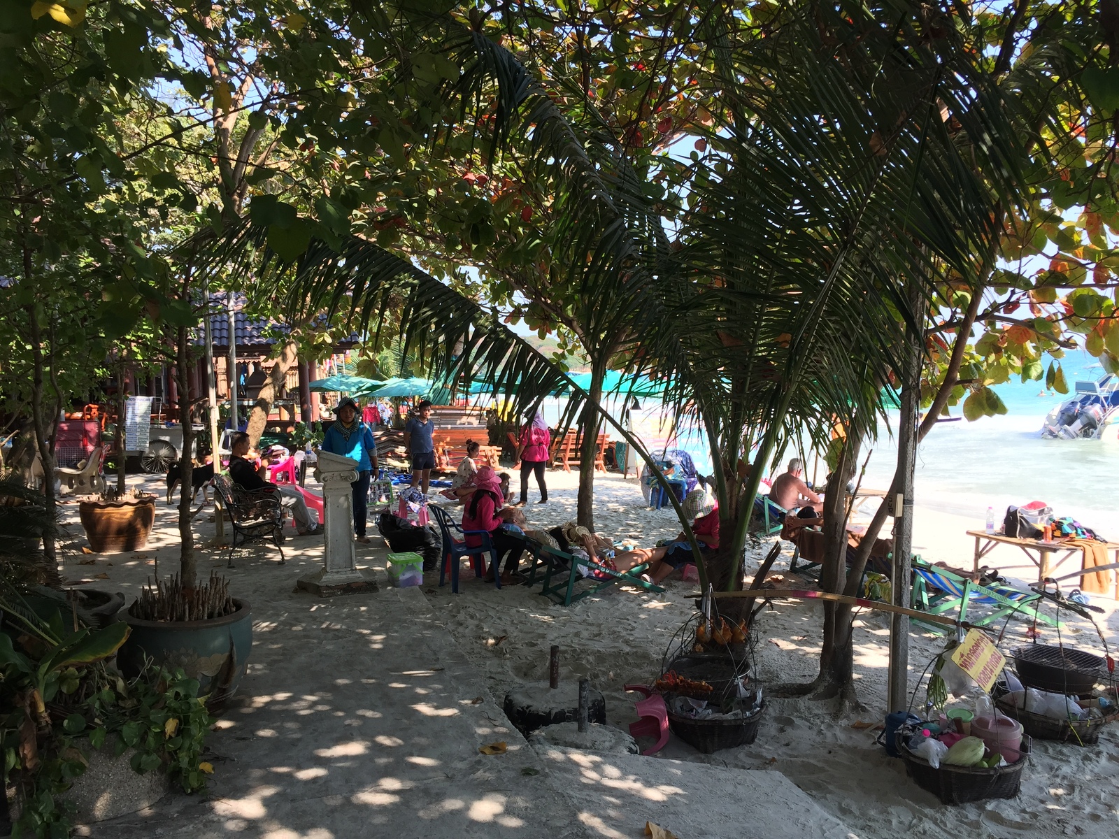 Picture Thailand Koh Samet 2016-01 95 - Tourist Attraction Koh Samet