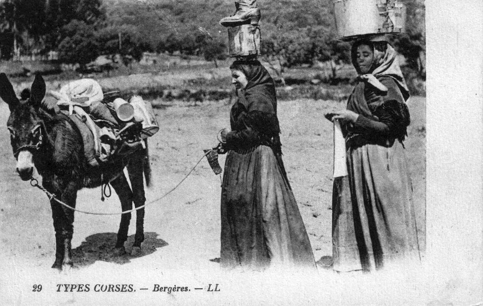 Picture France Corsica Old Postcards 1900-01 295 - Car Old Postcards