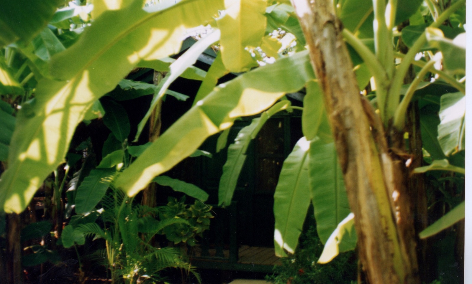 Picture Cambodia Phnom Pen 1996-06 3 - Perspective Phnom Pen