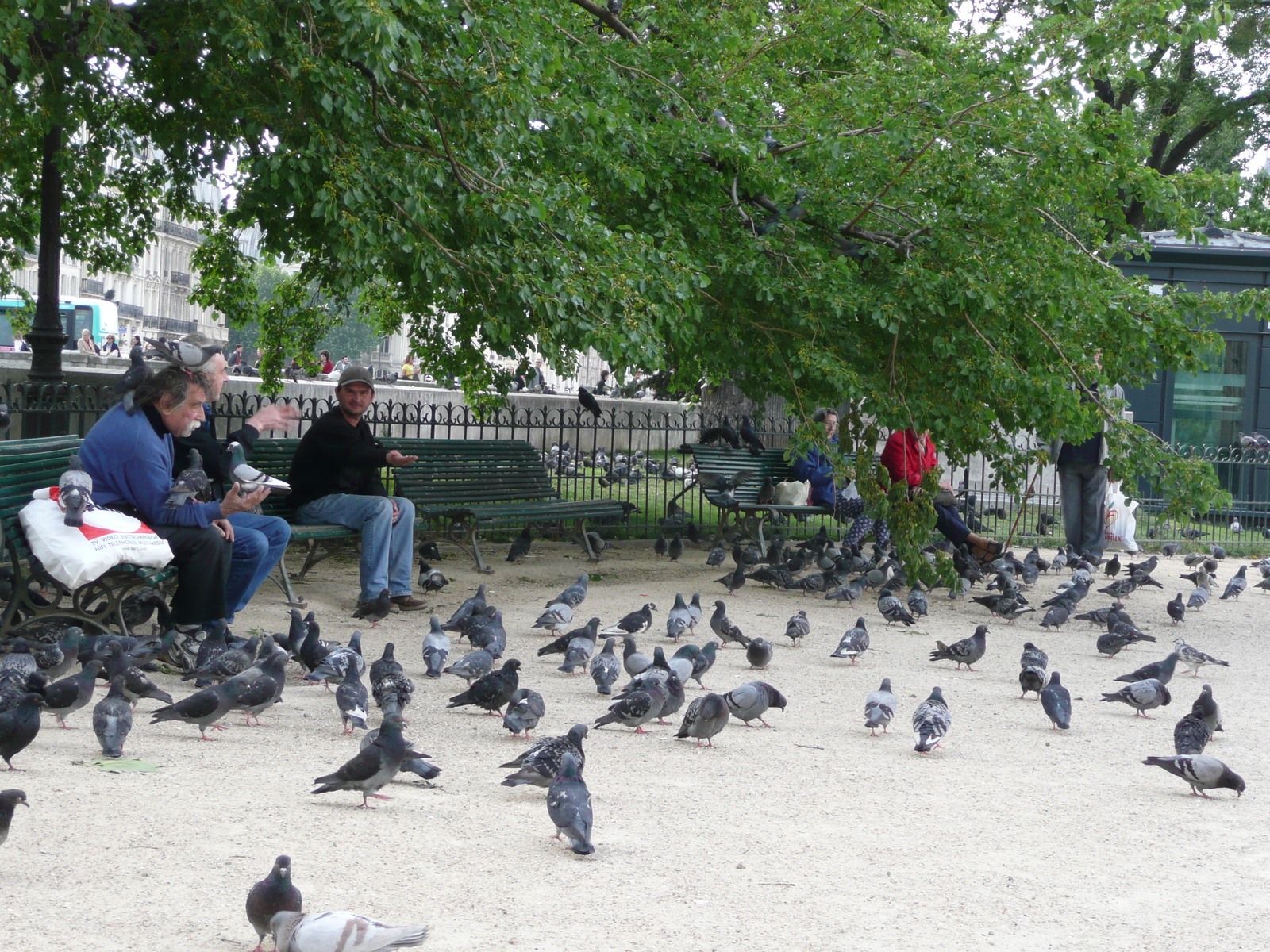 Picture France Paris Notre Dame 2007-05 218 - Photographers Notre Dame