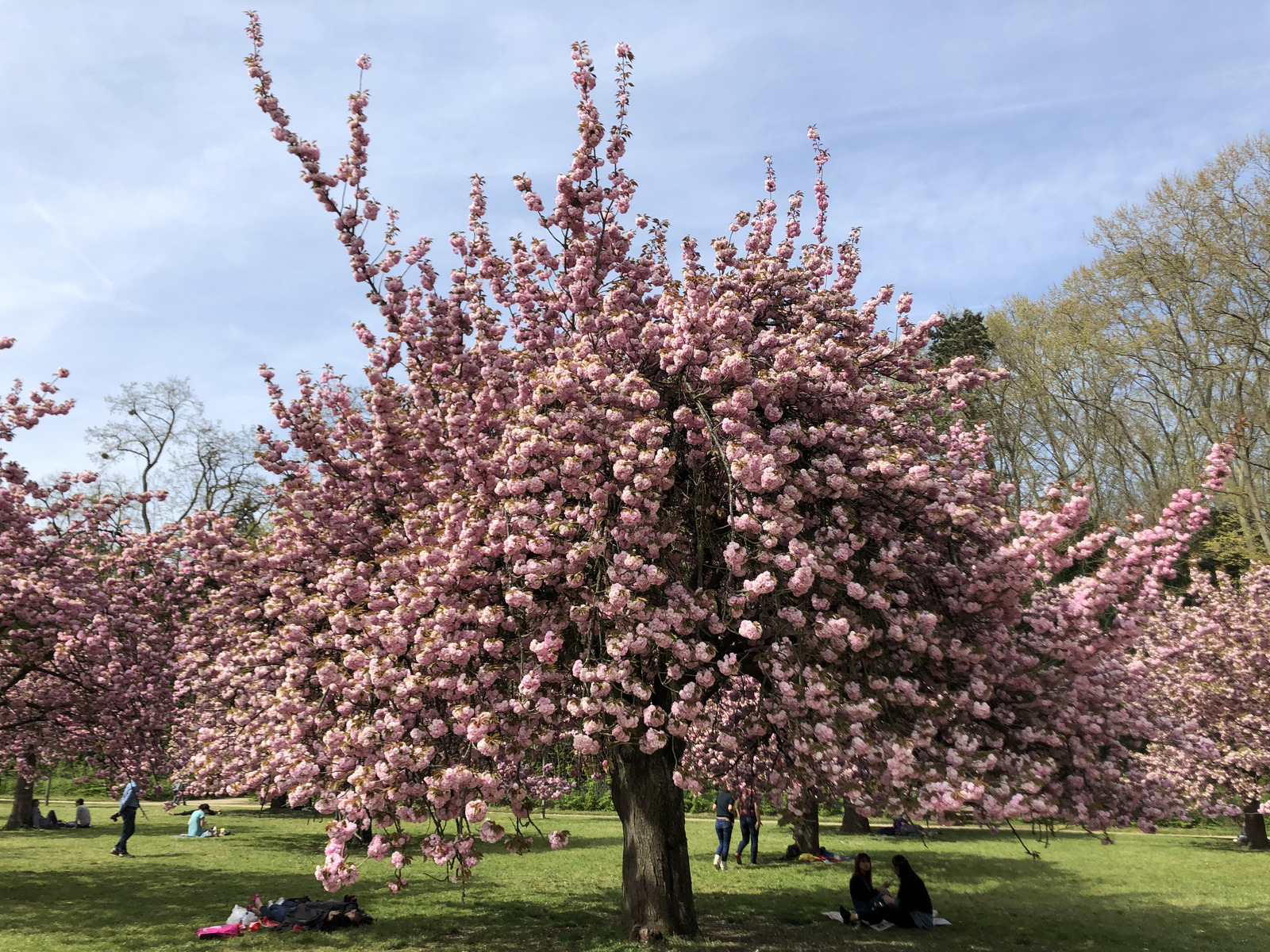 Picture France Parc de Sceaux 2019-04 95 - Car Rental Parc de Sceaux