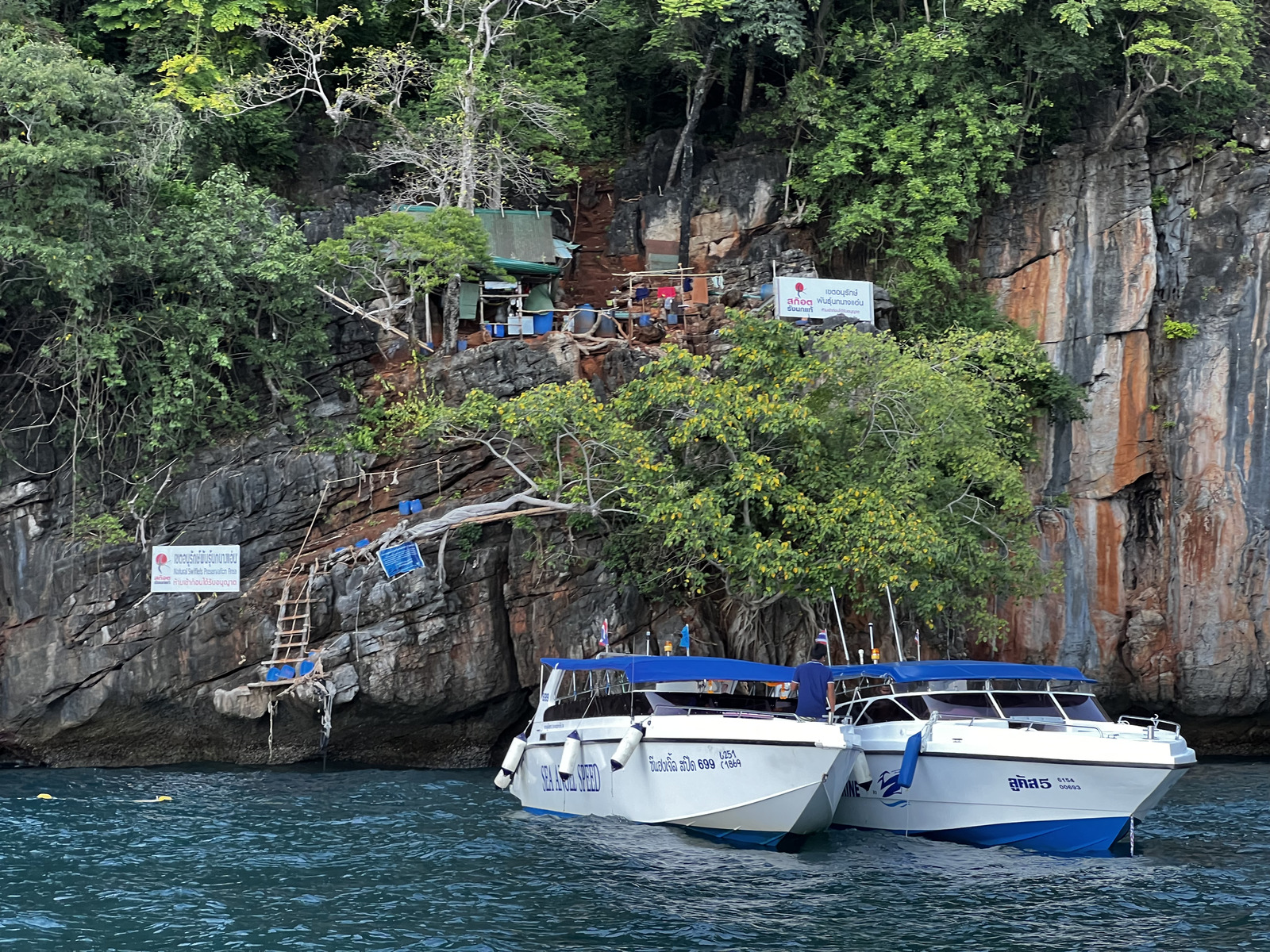 Picture Thailand Ko Phi Phi Ley 2021-12 145 - Tourist Places Ko Phi Phi Ley