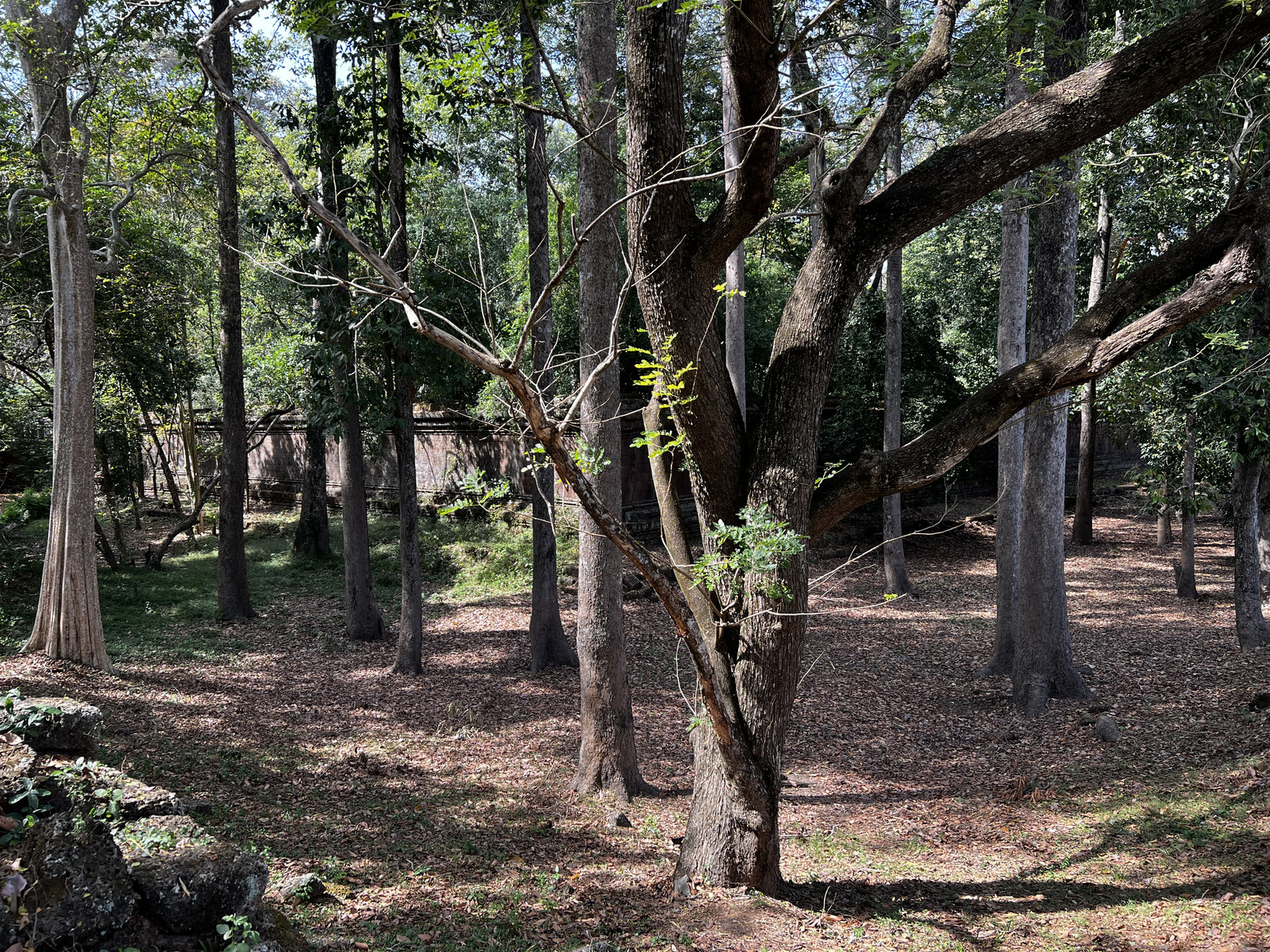 Picture Cambodia Siem Reap Angkor Thom 2023-01 57 - Tourist Places Angkor Thom