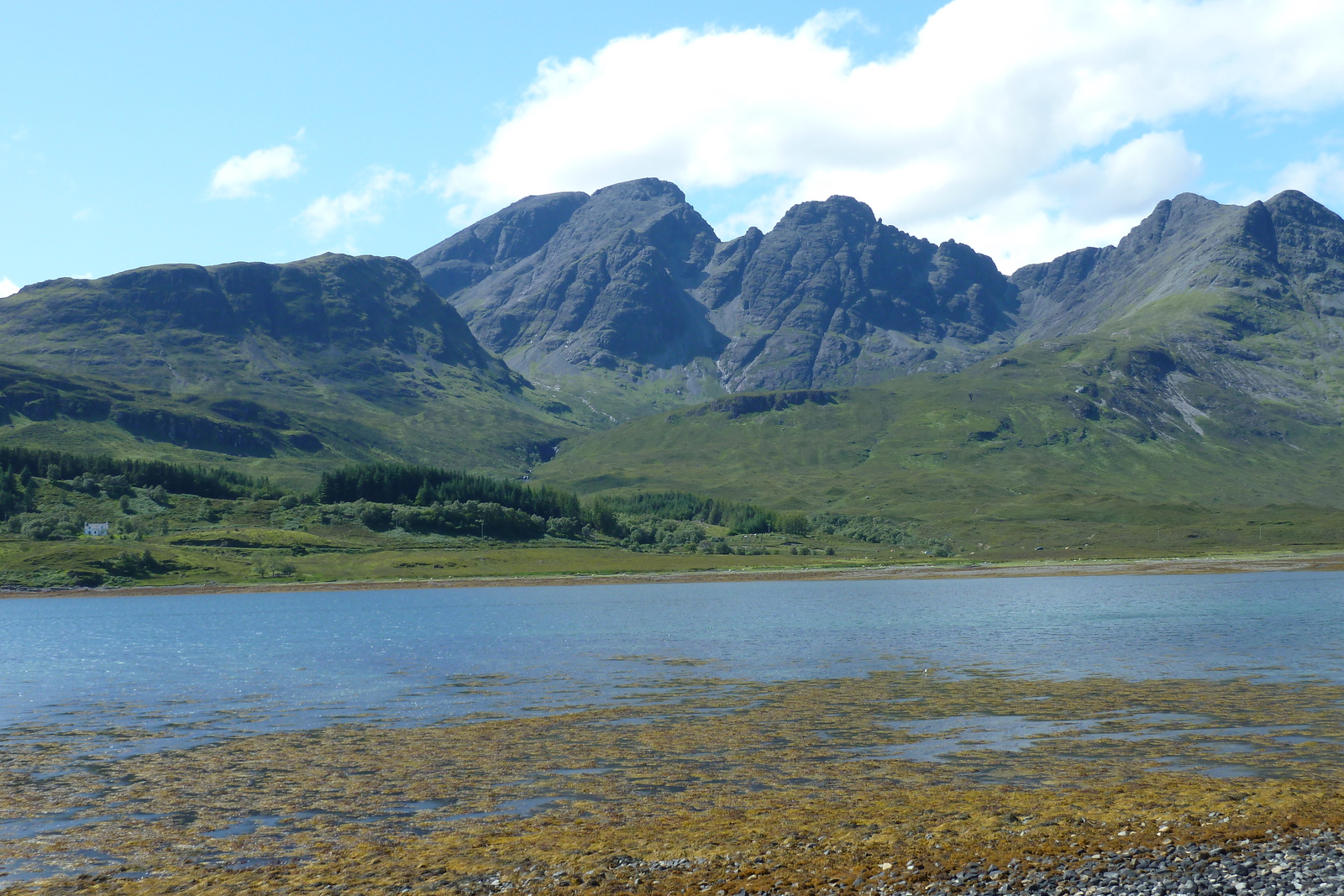 Picture United Kingdom Skye The Cullins 2011-07 158 - Pictures The Cullins