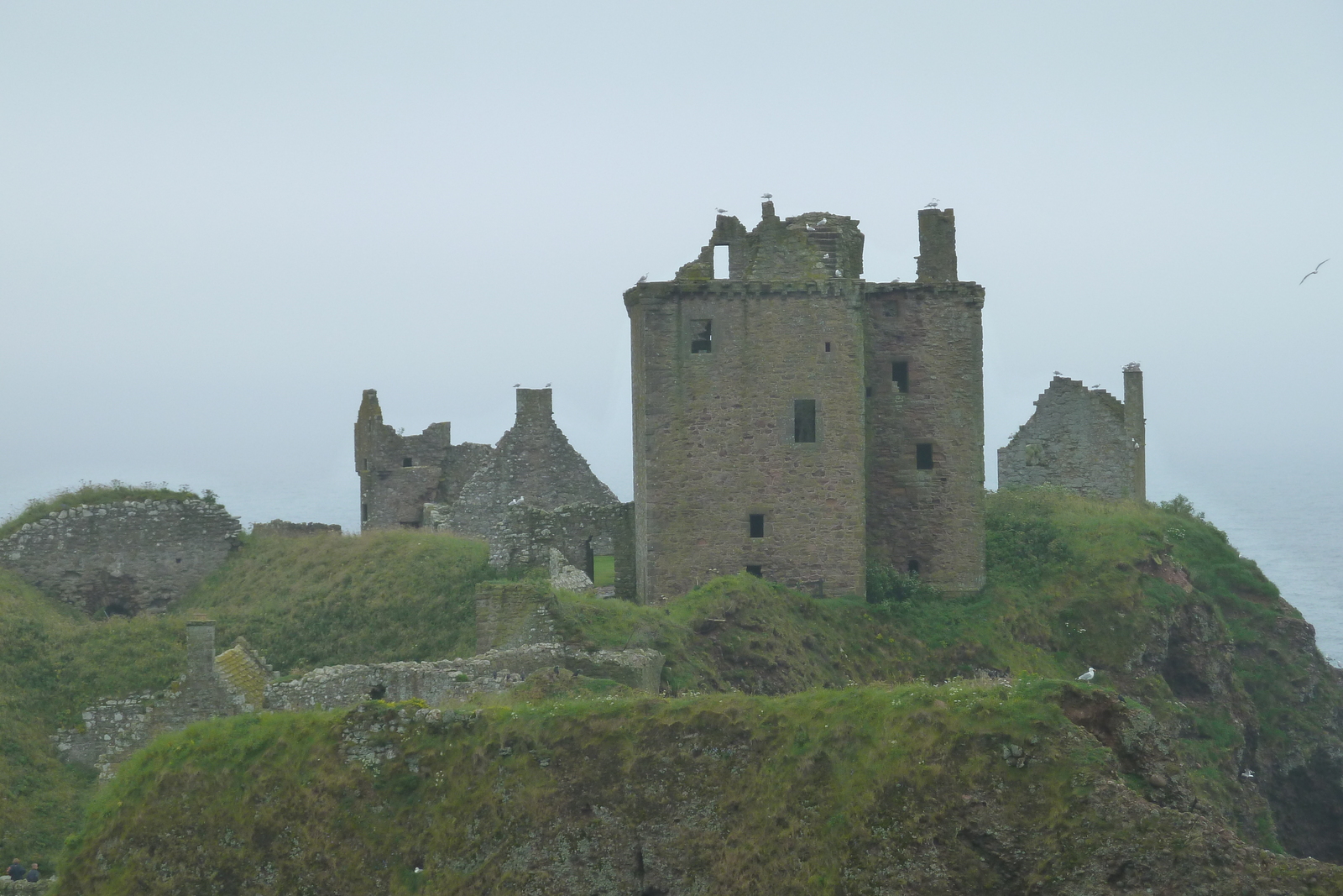 Picture United Kingdom Scotland Dunottar Castle 2011-07 11 - Flights Dunottar Castle