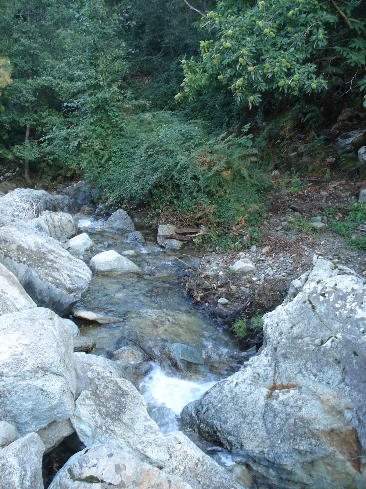 Picture France Corsica Valle d'alesani 2006-09 136 - Trips Valle d'alesani