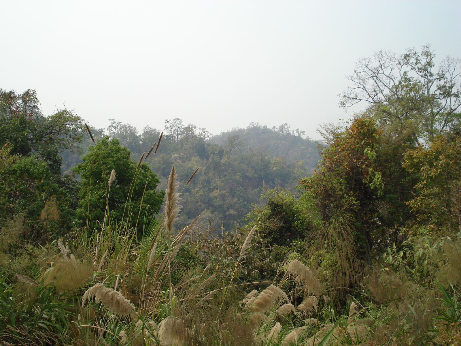 Picture Thailand Chiang Mai to Pai road 2007-02 126 - Map Chiang Mai to Pai road