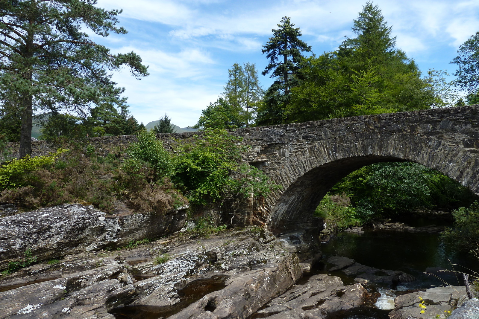 Picture United Kingdom The Trossachs 2011-07 85 - Pictures The Trossachs