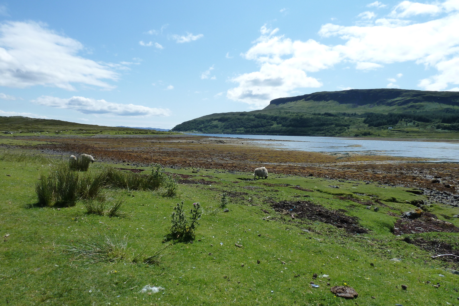 Picture United Kingdom Skye The Cullins 2011-07 31 - Randonee The Cullins