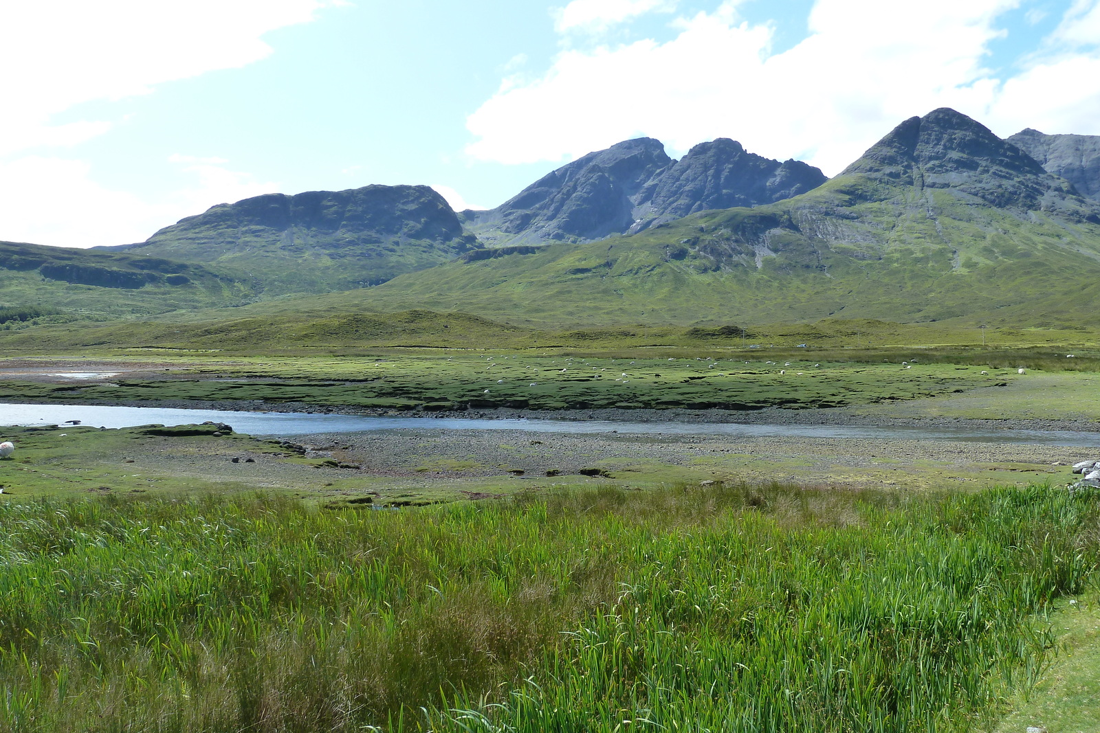 Picture United Kingdom Skye The Cullins 2011-07 36 - Photos The Cullins