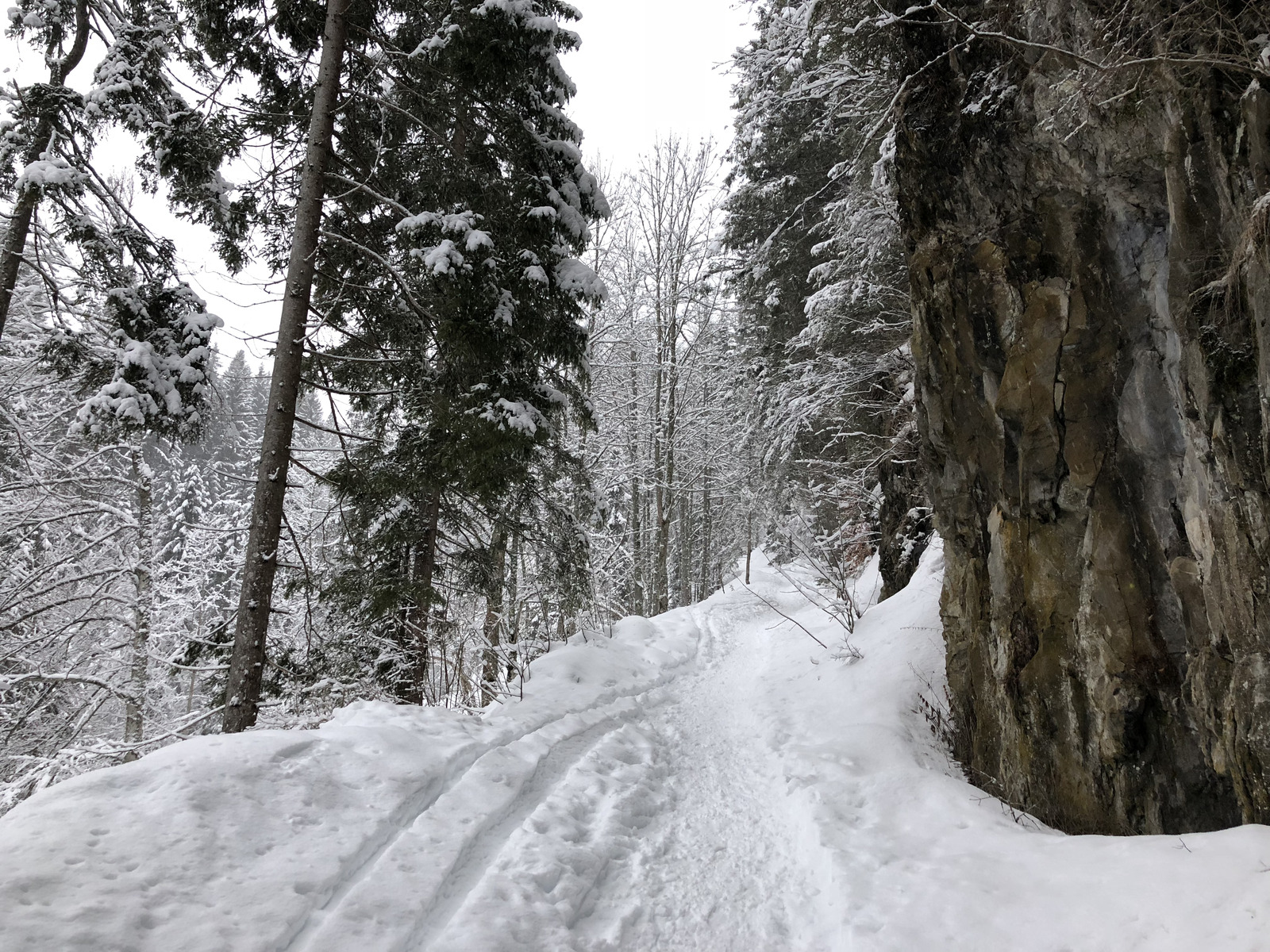 Picture France La Clusaz 2017-12 278 - Photos La Clusaz