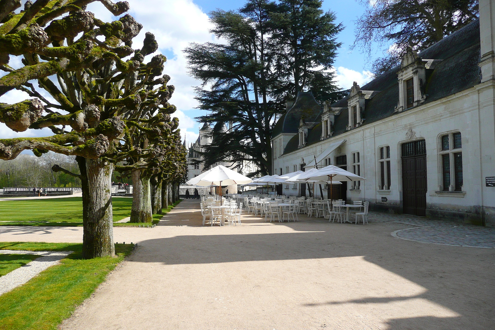 Picture France Chenonceau Castle Gardens of Chenonceau 2008-04 84 - Picture Gardens of Chenonceau