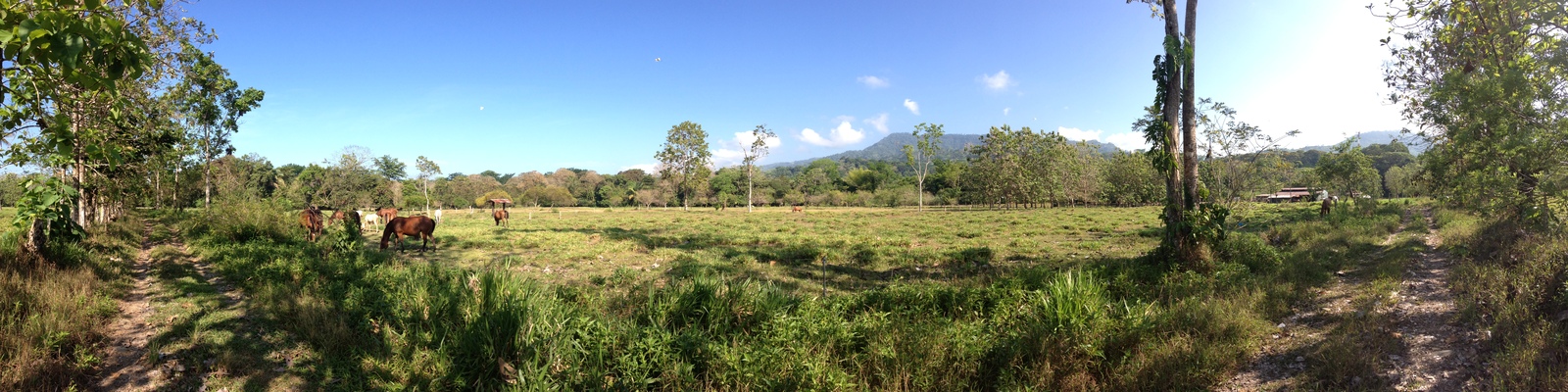 Picture Costa Rica Uvita 2015-03 10 - Flight Uvita