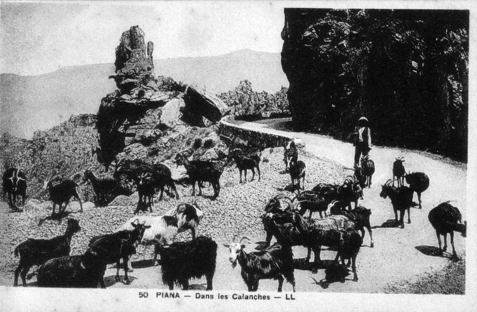 Picture France Corsica Old Postcards 1900-01 175 - Photographer Old Postcards