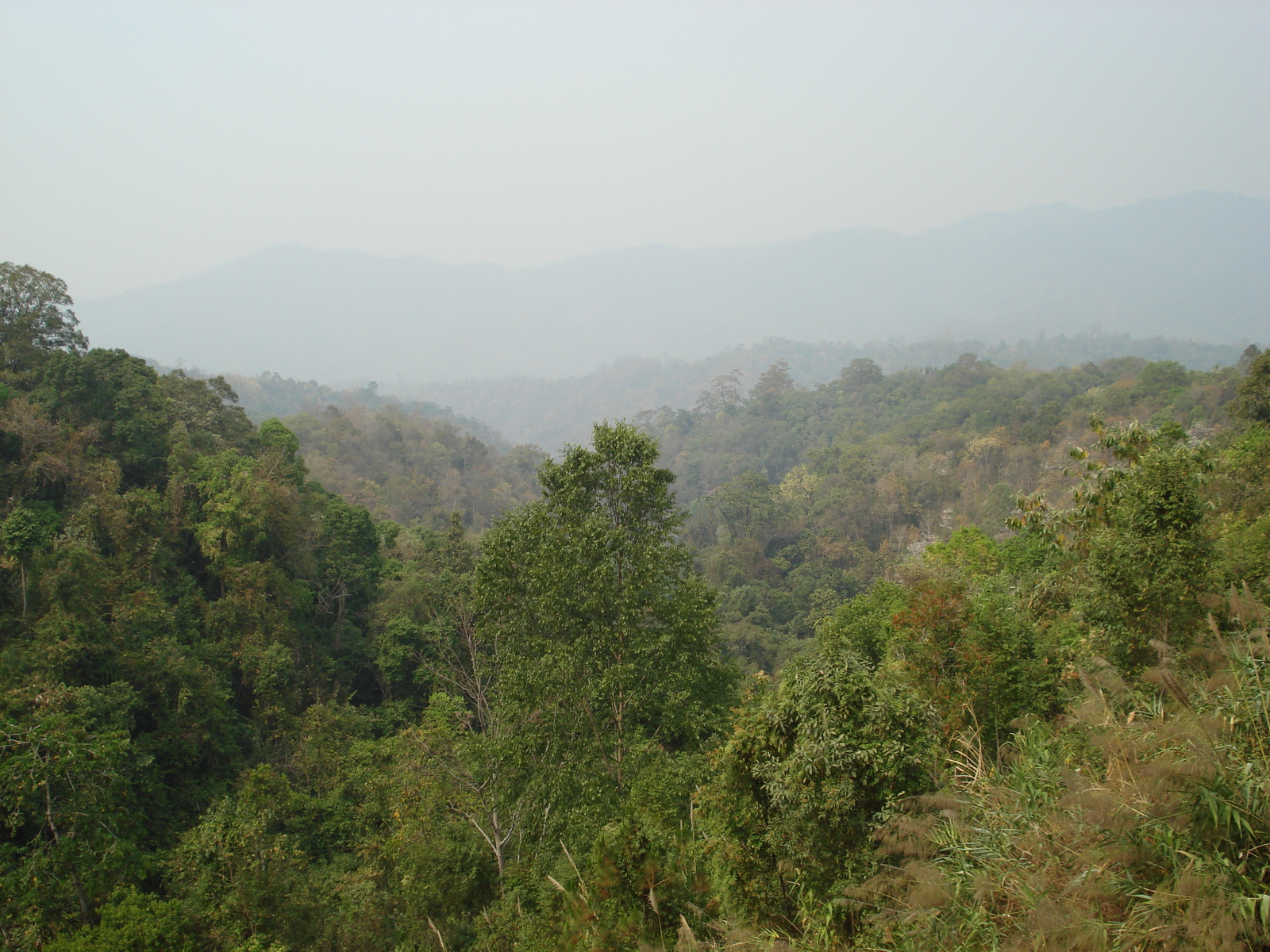 Picture Thailand Chiang Mai to Pai road 2007-02 40 - Picture Chiang Mai to Pai road