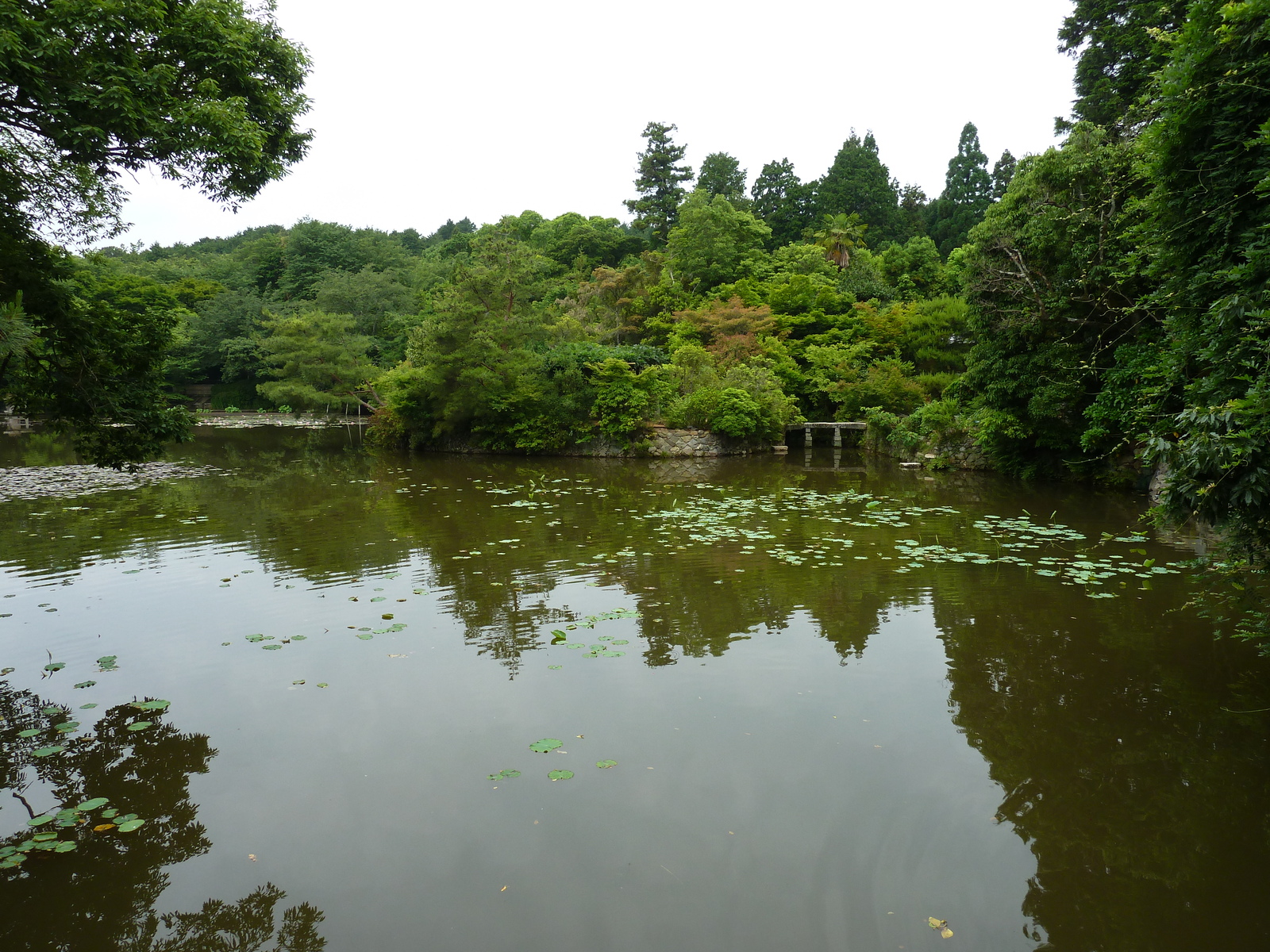 Picture Japan Kyoto Ryoanji Temple 2010-06 11 - Pictures Ryoanji Temple