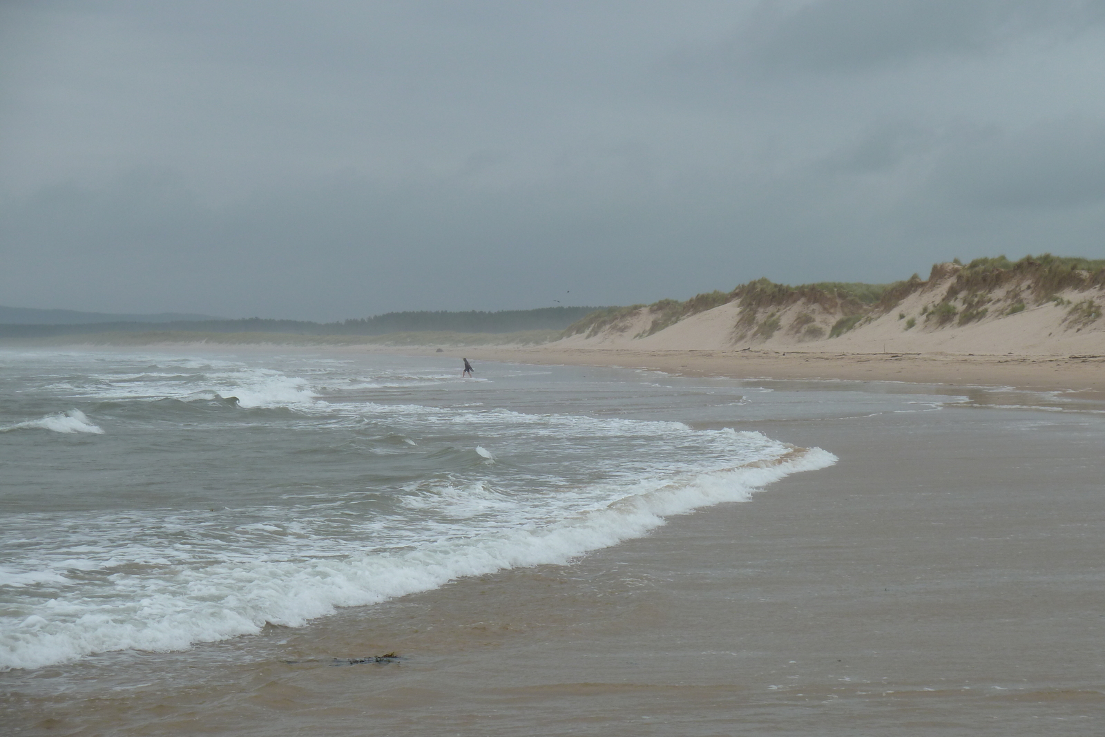 Picture United Kingdom Scotland Lossiemouth 2011-07 24 - Discover Lossiemouth