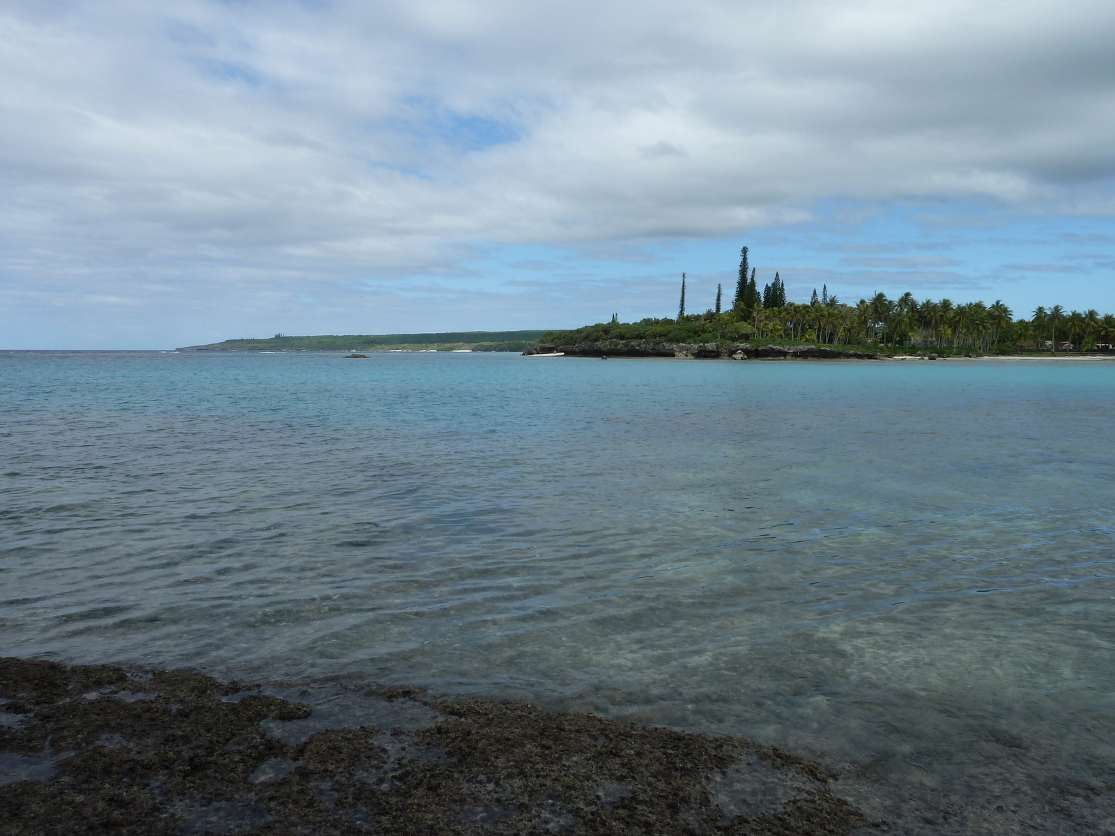 Picture New Caledonia Lifou Baie des tortues 2010-05 16 - Views Baie des tortues