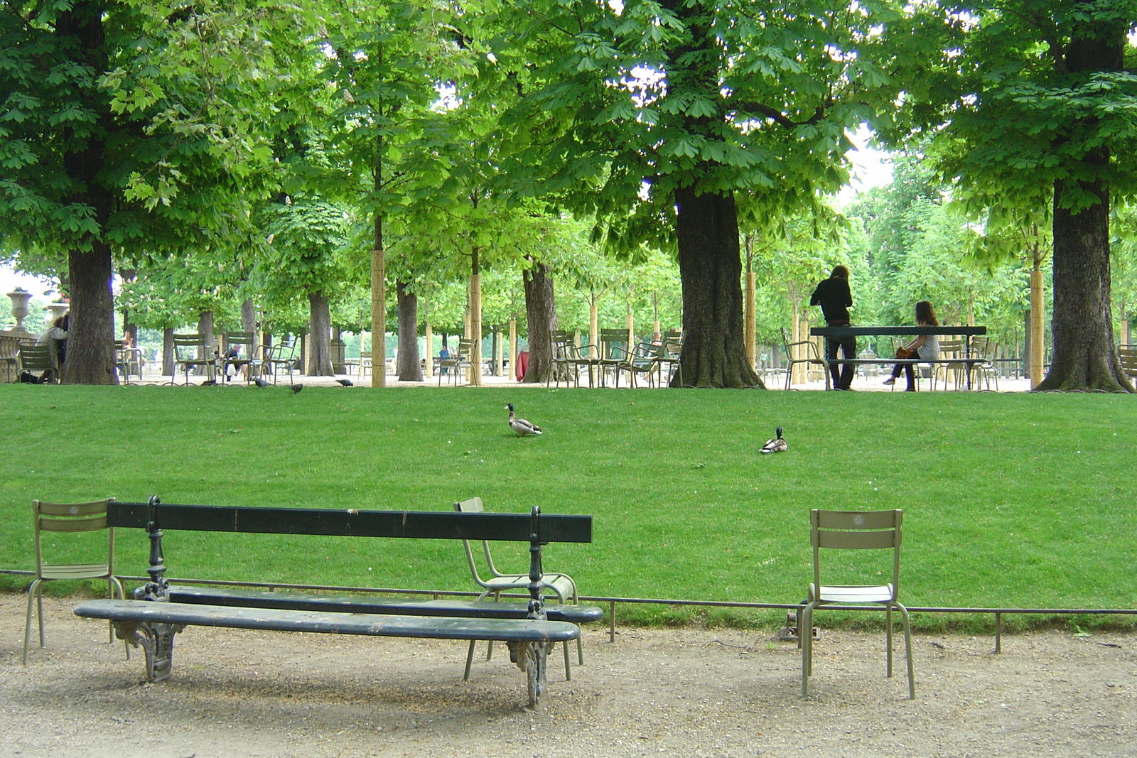 Picture France Paris Luxembourg Garden 2007-04 167 - Views Luxembourg Garden