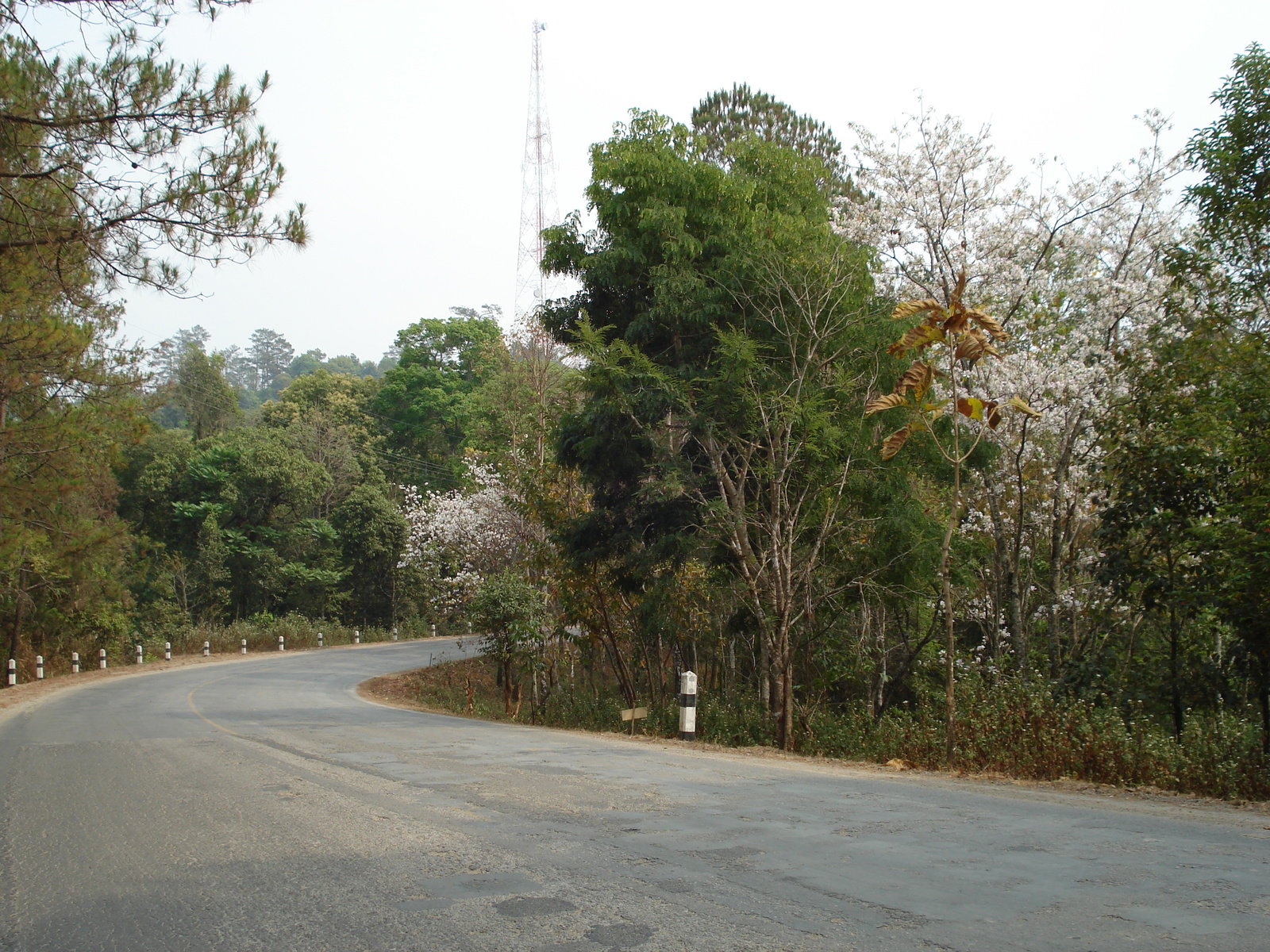 Picture Thailand Chiang Mai to Pai road 2007-02 41 - Visit Chiang Mai to Pai road