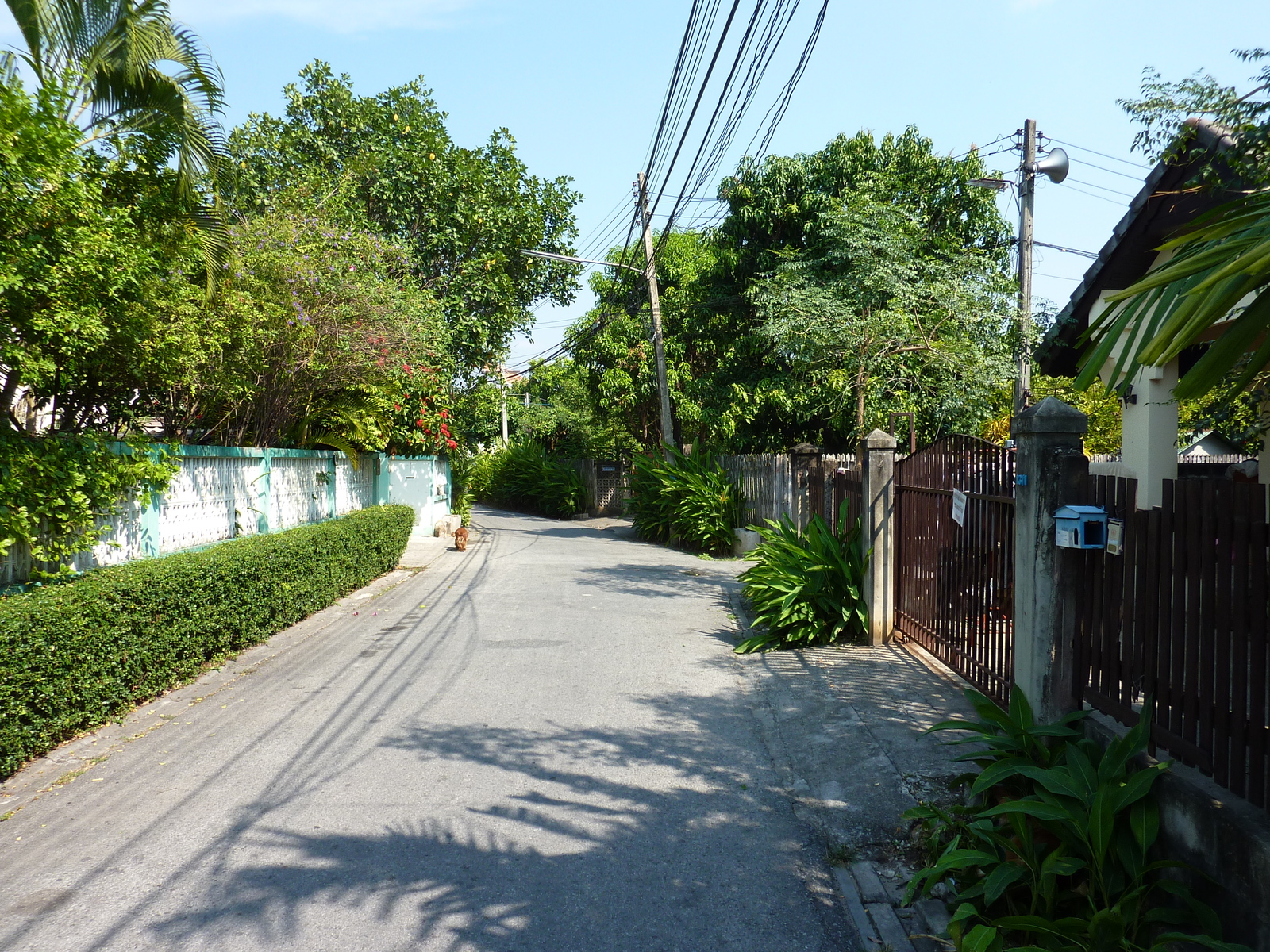 Picture Thailand Chiang Mai Sam Lan road 2009-12 0 - Road Sam Lan road