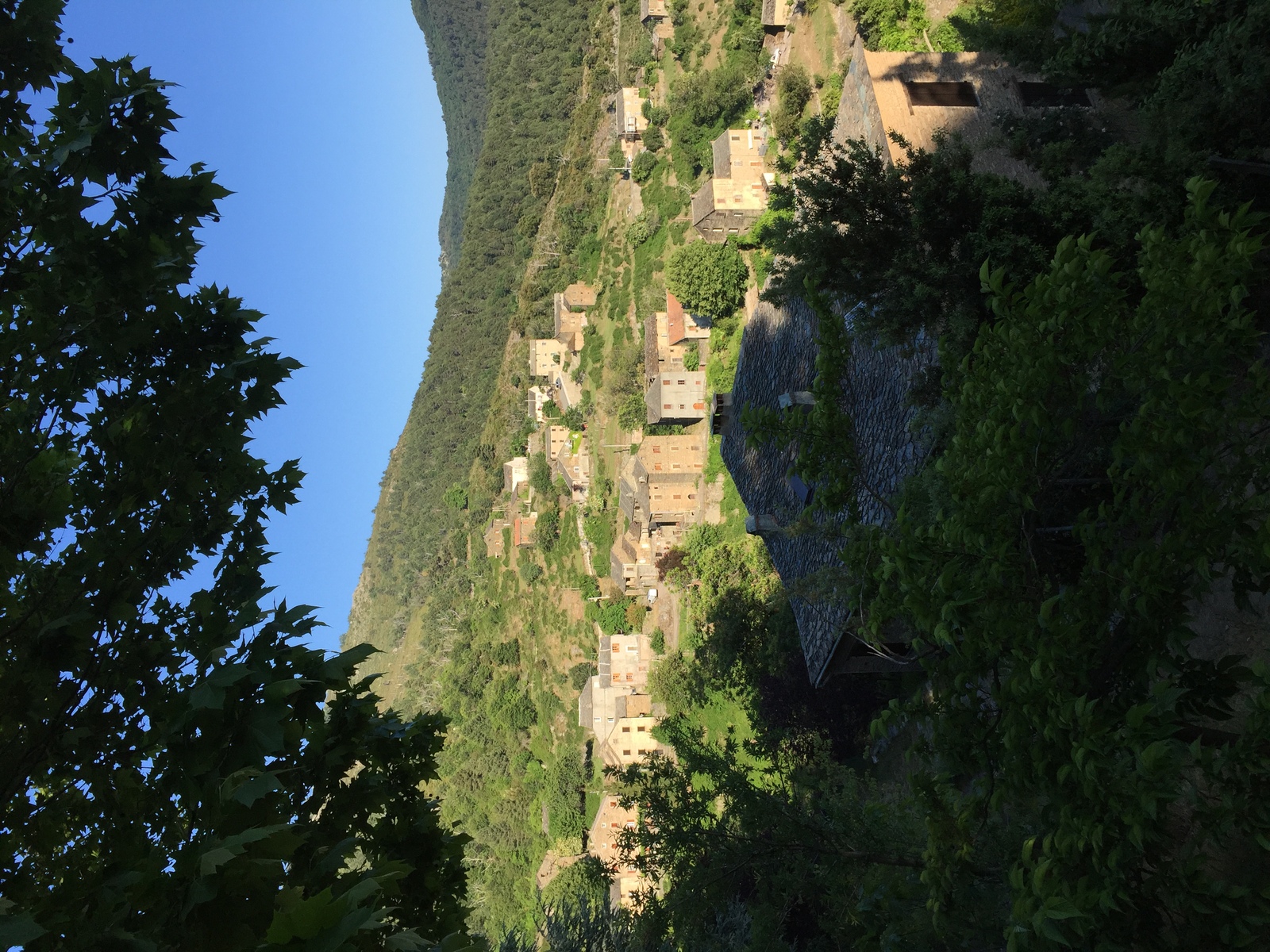 Picture France Corsica Castagniccia 2015-05 2 - Pictures Castagniccia