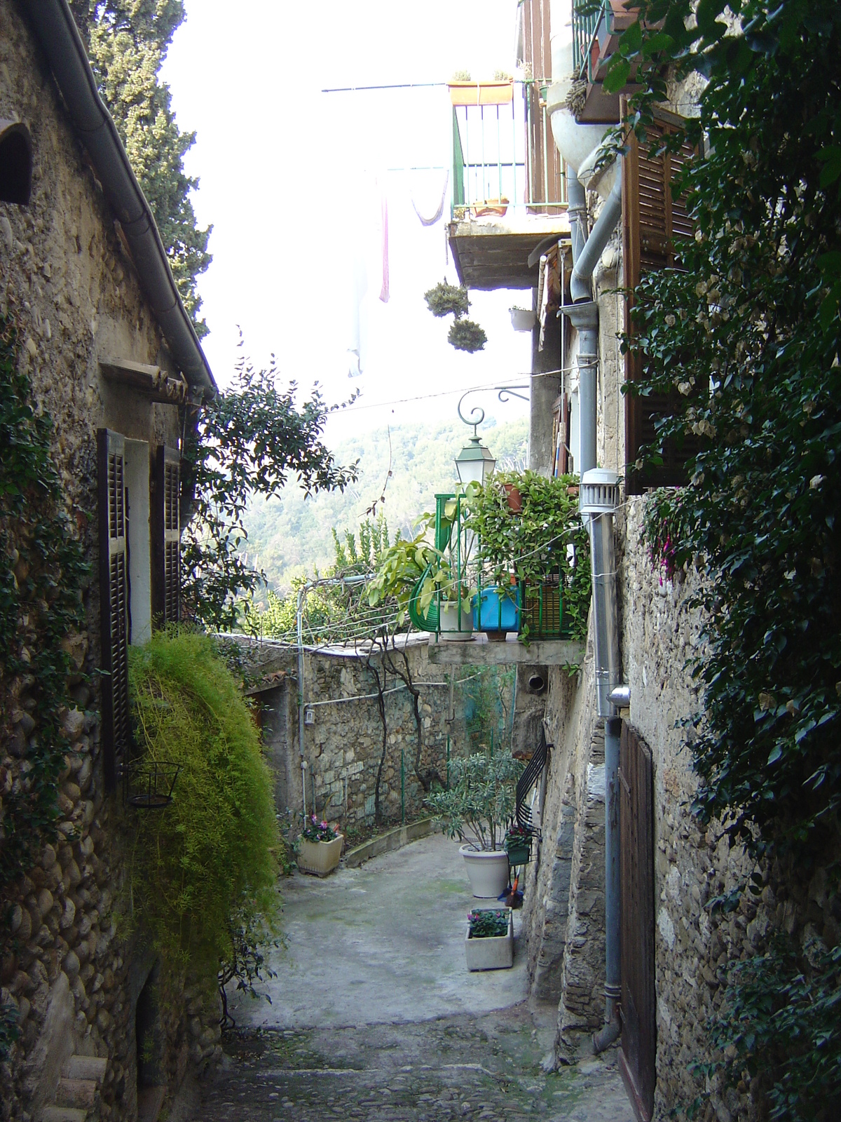 Picture France Les Hauts de Cagnes 2006-01 47 - Sightseeing Les Hauts de Cagnes