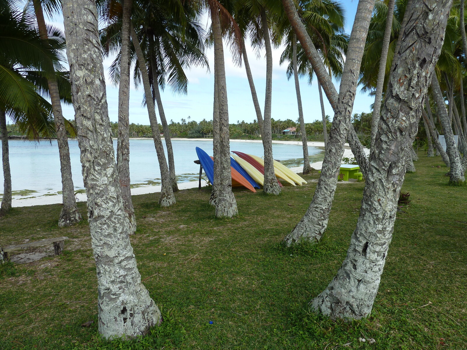 Picture New Caledonia Lifou Baie des tortues 2010-05 35 - Car Rental Baie des tortues