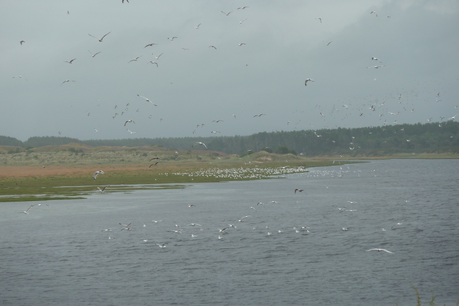 Picture United Kingdom Scotland Lossiemouth 2011-07 12 - Views Lossiemouth