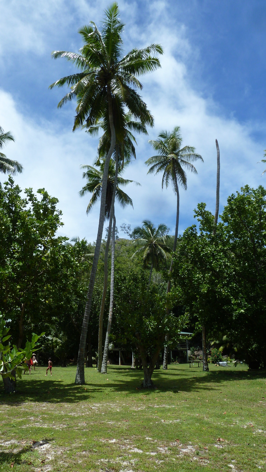 Picture Seychelles Grande Soeur 2011-10 93 - Trips Grande Soeur