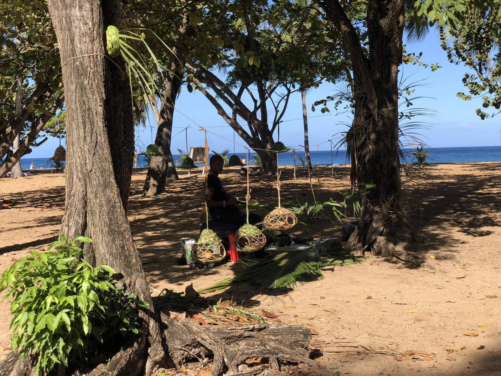 Picture Guadeloupe Grande Hanse Beach 2021-02 15 - Randonee Grande Hanse Beach