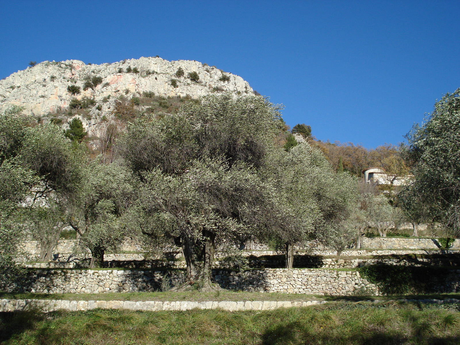 Picture France French Riviera Col de Vence road 2007-01 61 - Photographers Col de Vence road