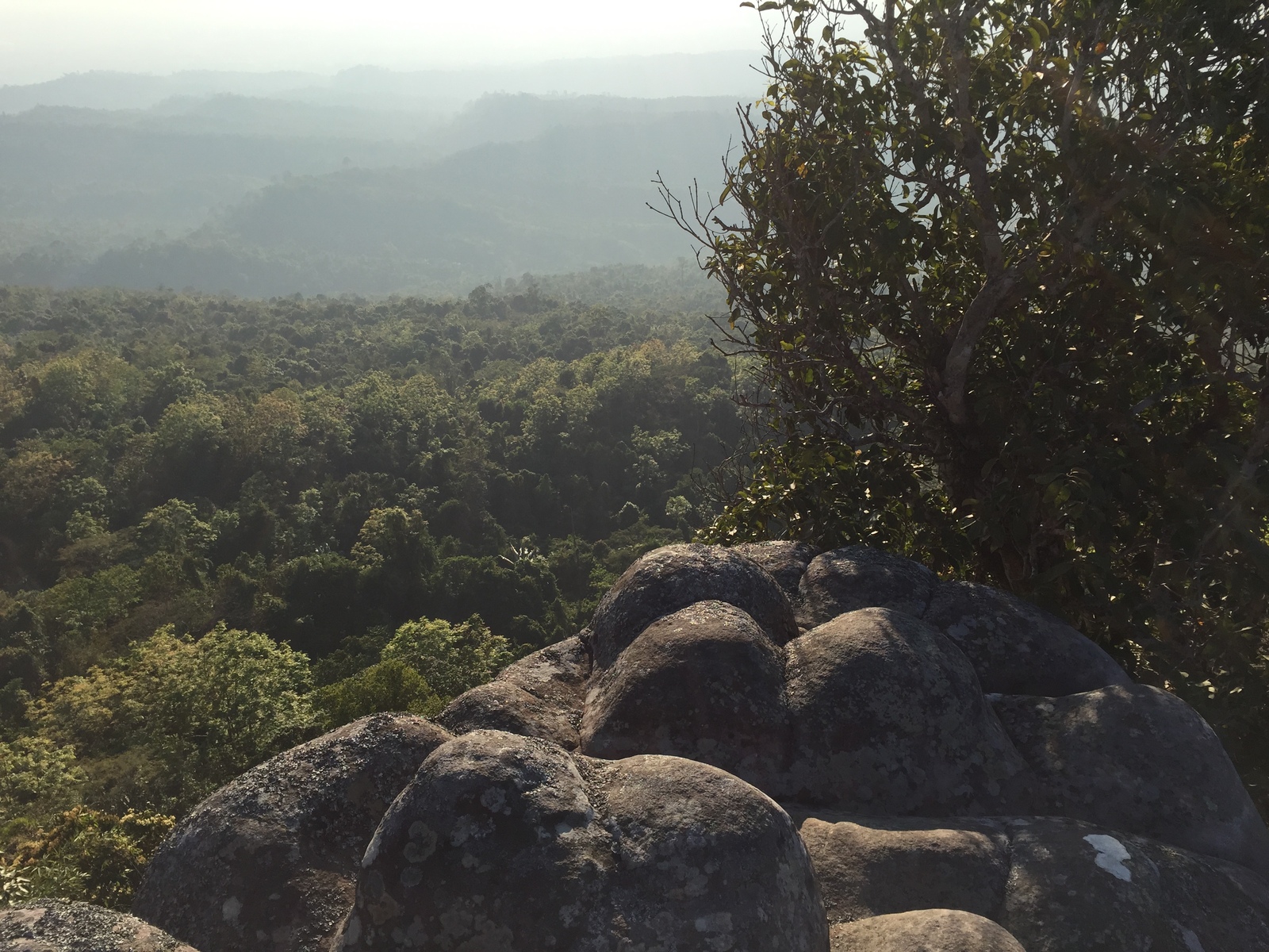 Picture Thailand Phu Hin Rong Kla National Park 2014-12 109 - Discover Phu Hin Rong Kla National Park